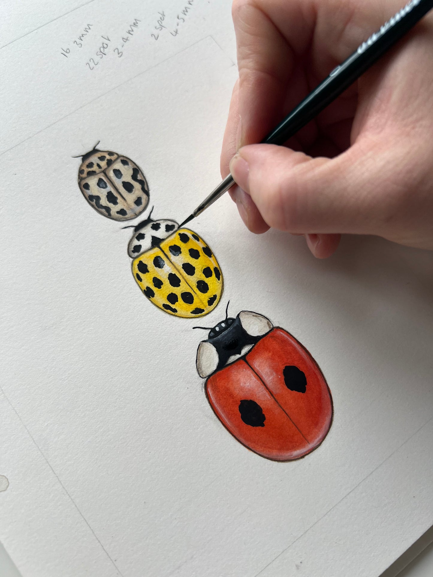 3 Ladybirds Framed Original