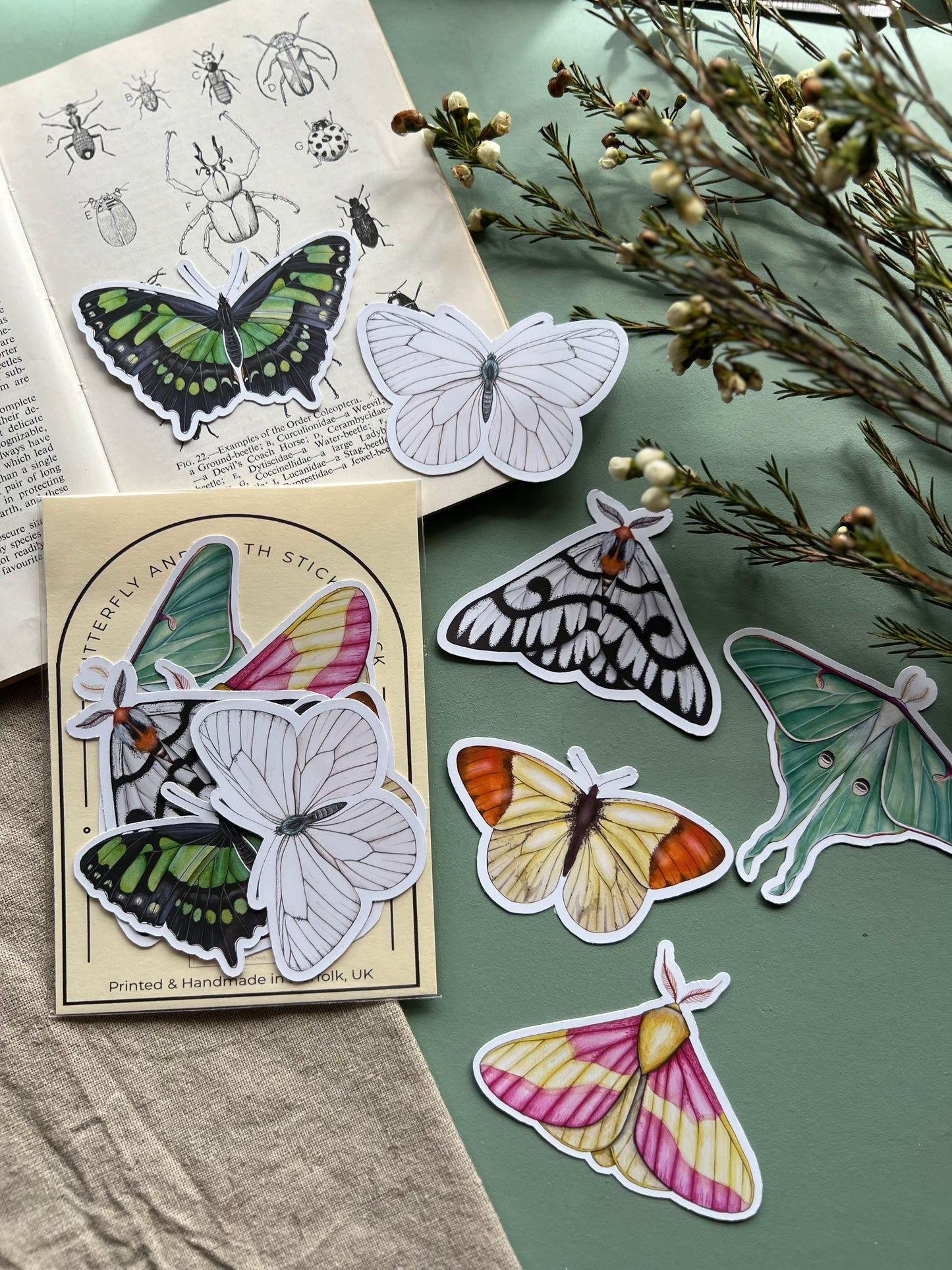 Butterfly and Moth Sticker Set