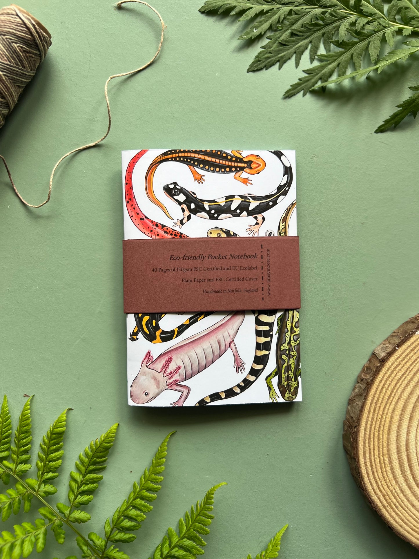 Salamander Pocket Notebook