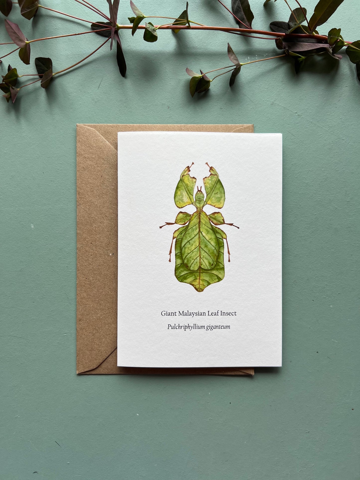 Leaf Insect Card