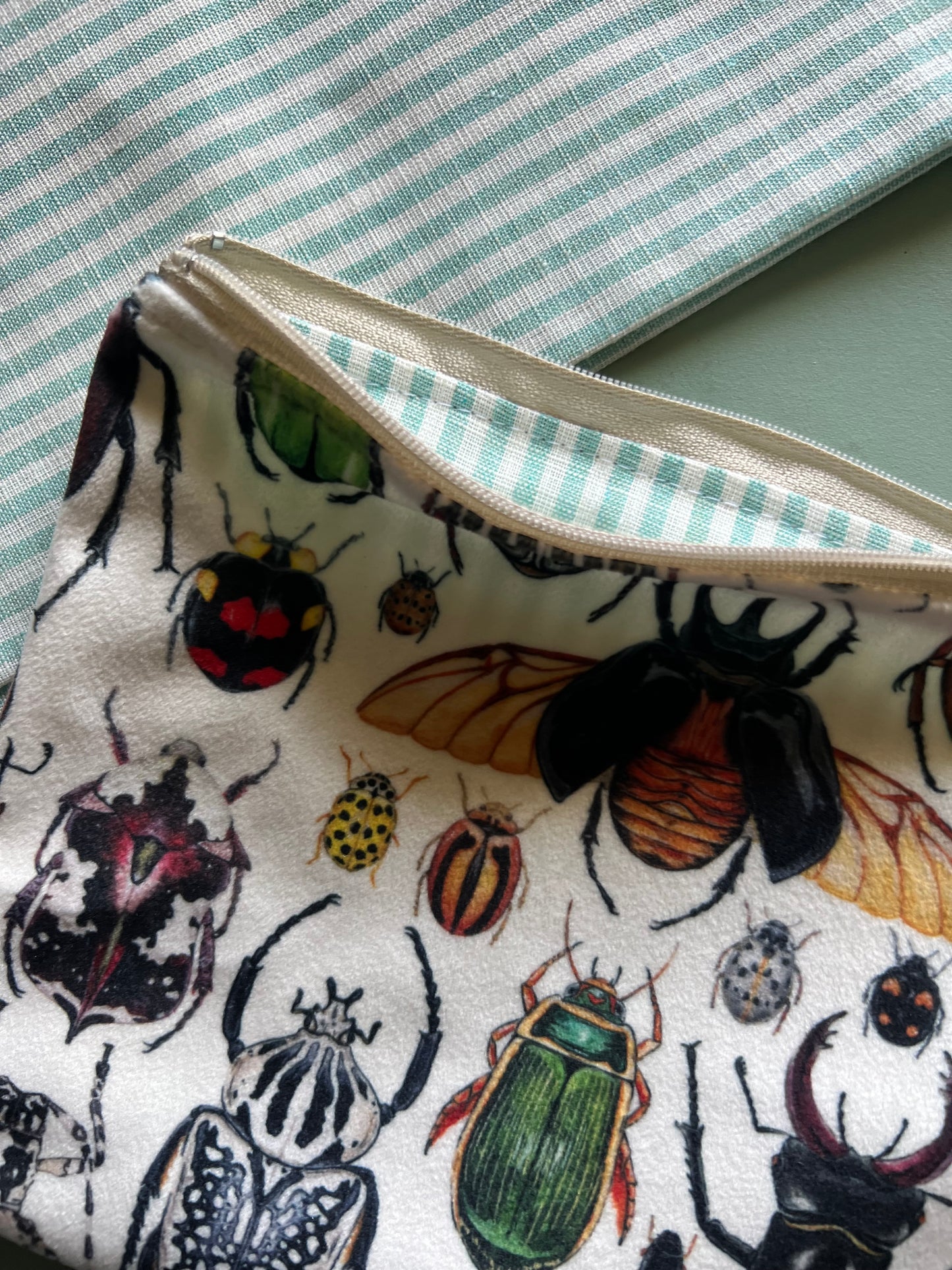 Soft Velvet Beetle Pouch