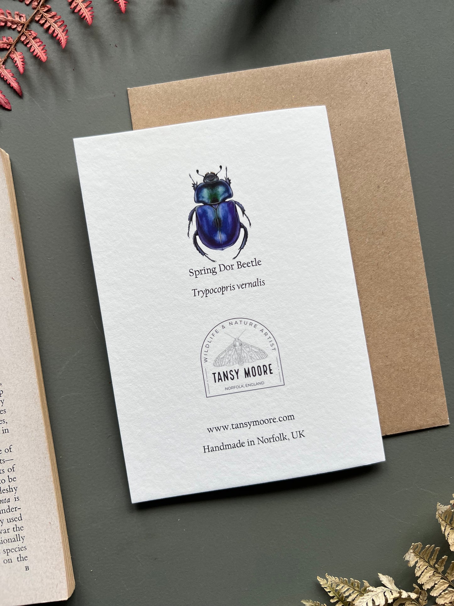 Spring Dor Beetle Card