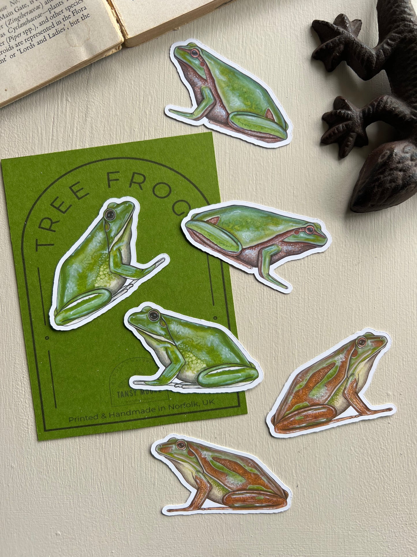 Tree Frog Sticker Set