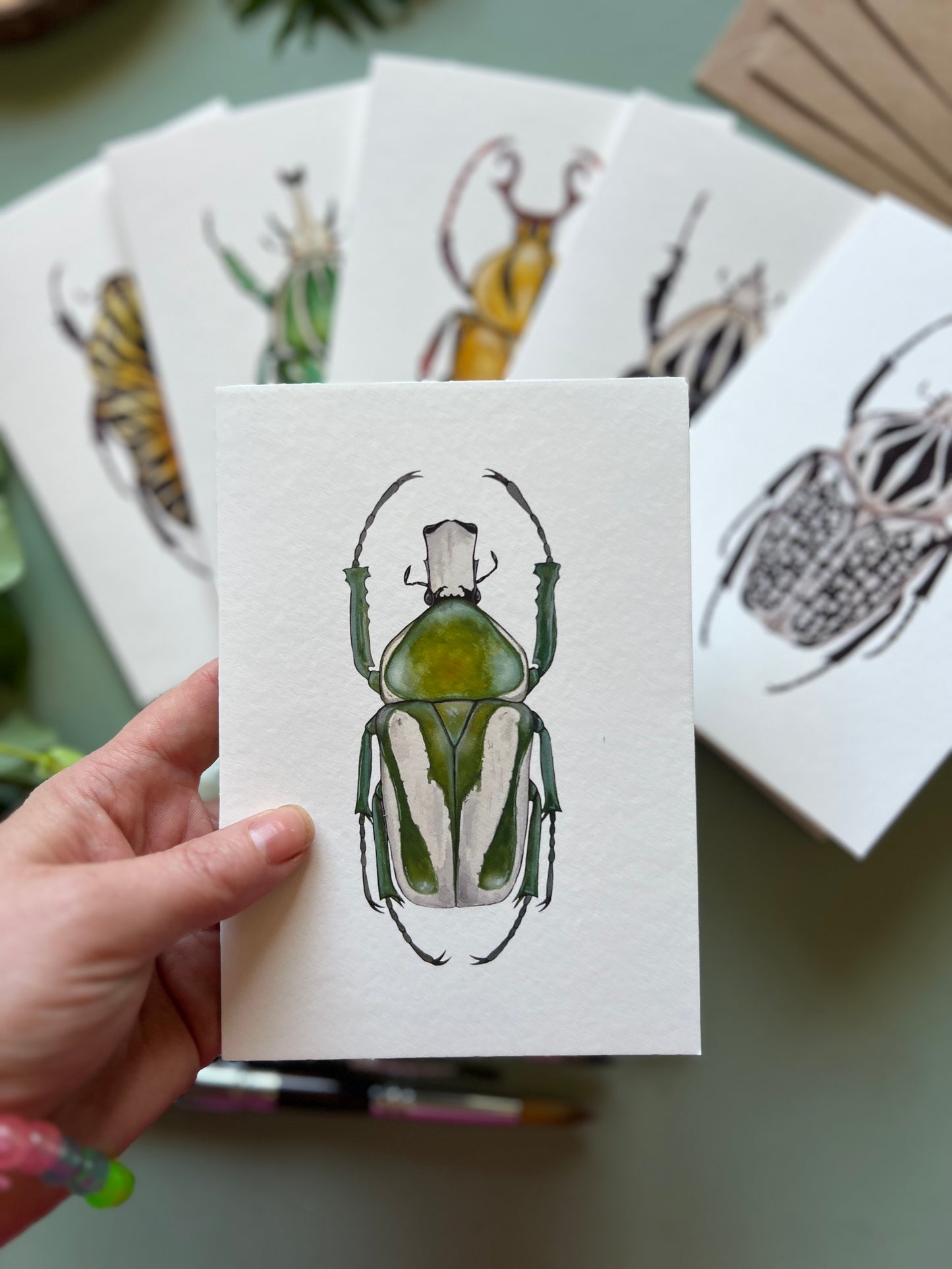 Beetles Set