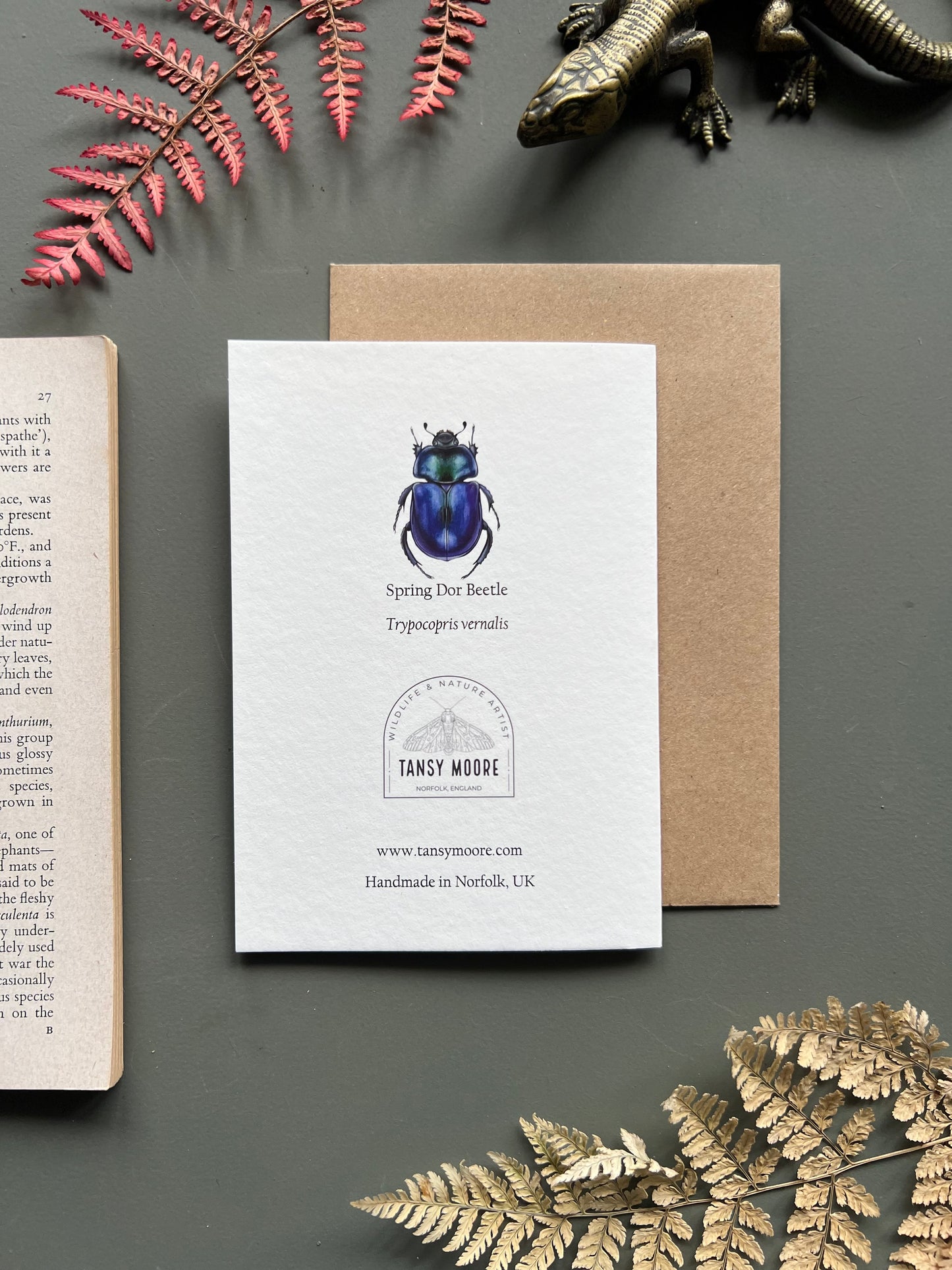 Spring Dor Beetle Card