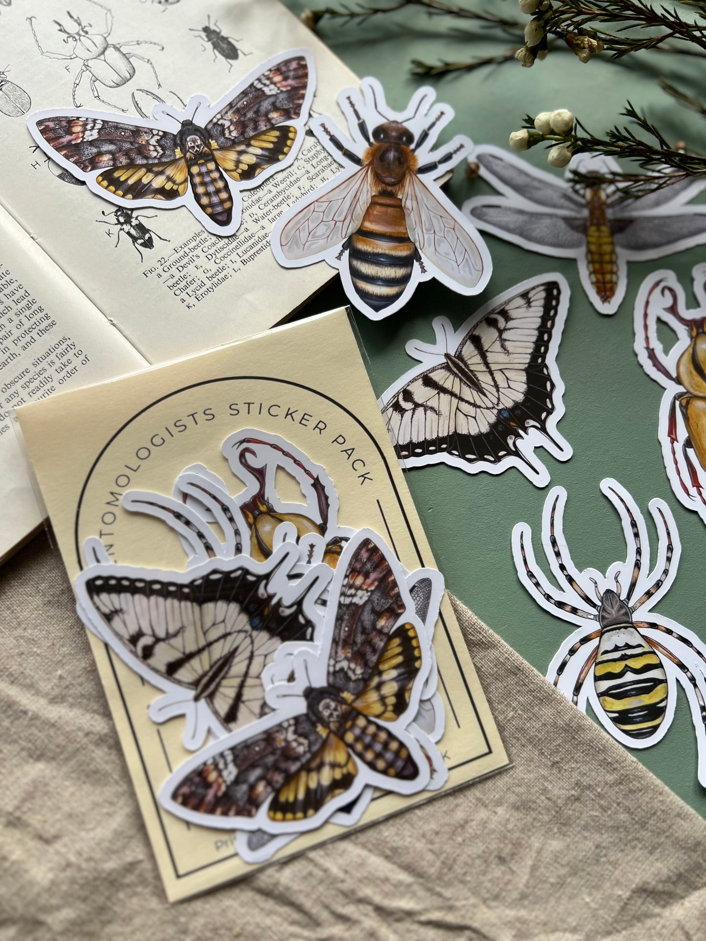Entomology Sticker Set