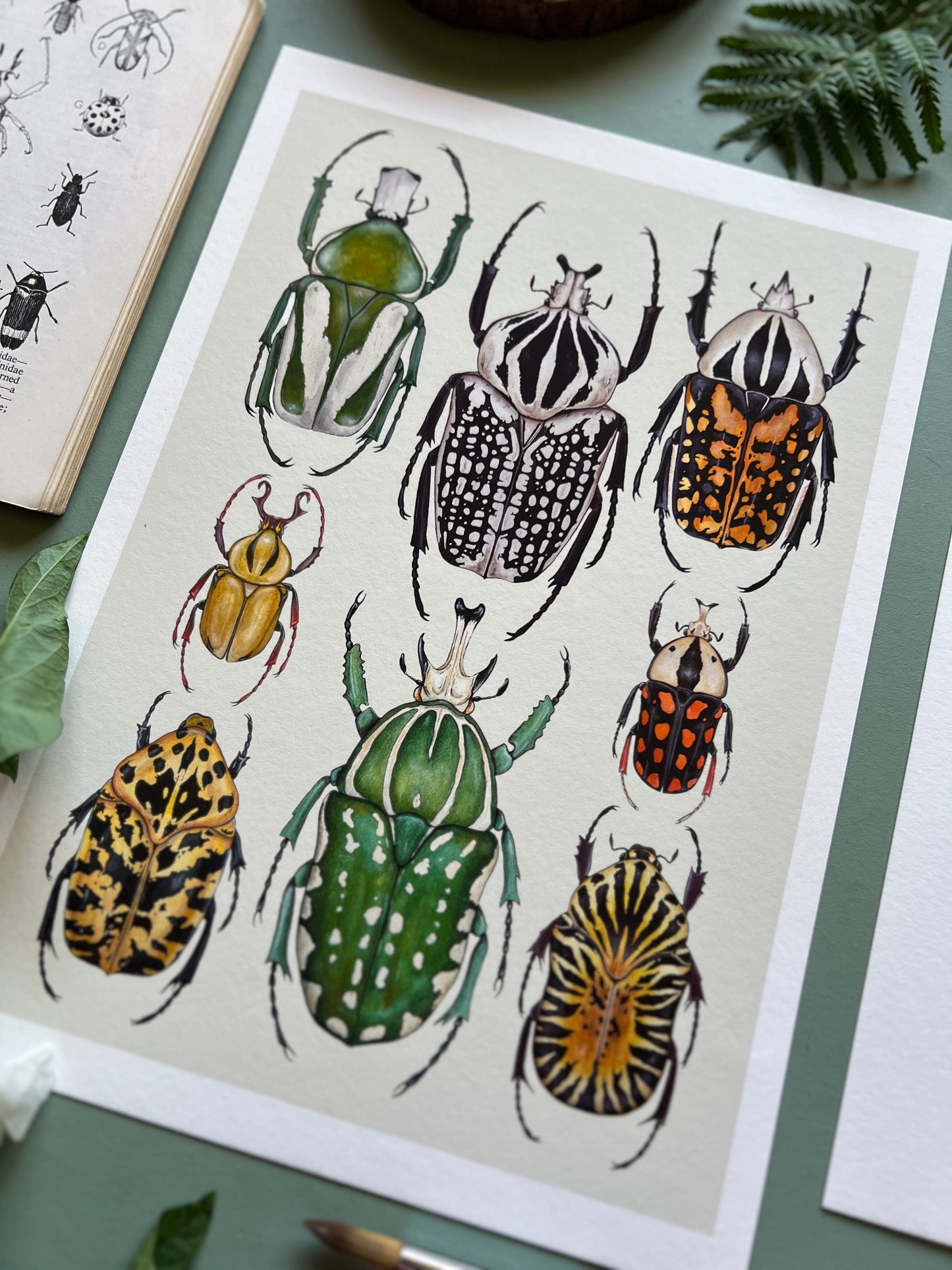 Beetles Print