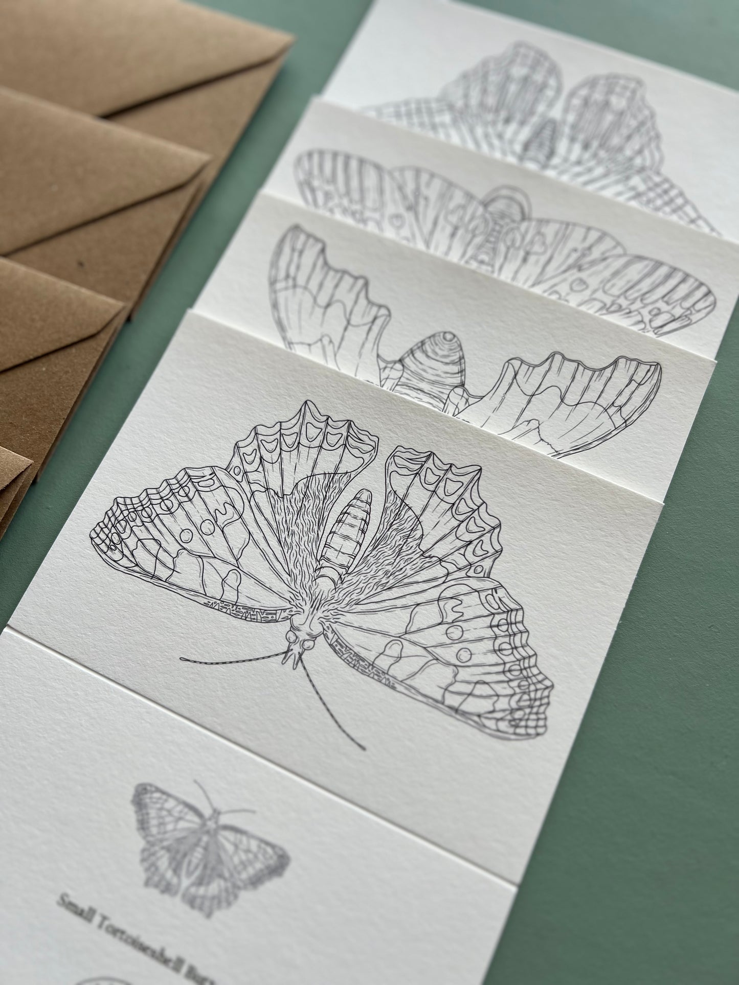 Butterfly and Moth Colouring in Card Set