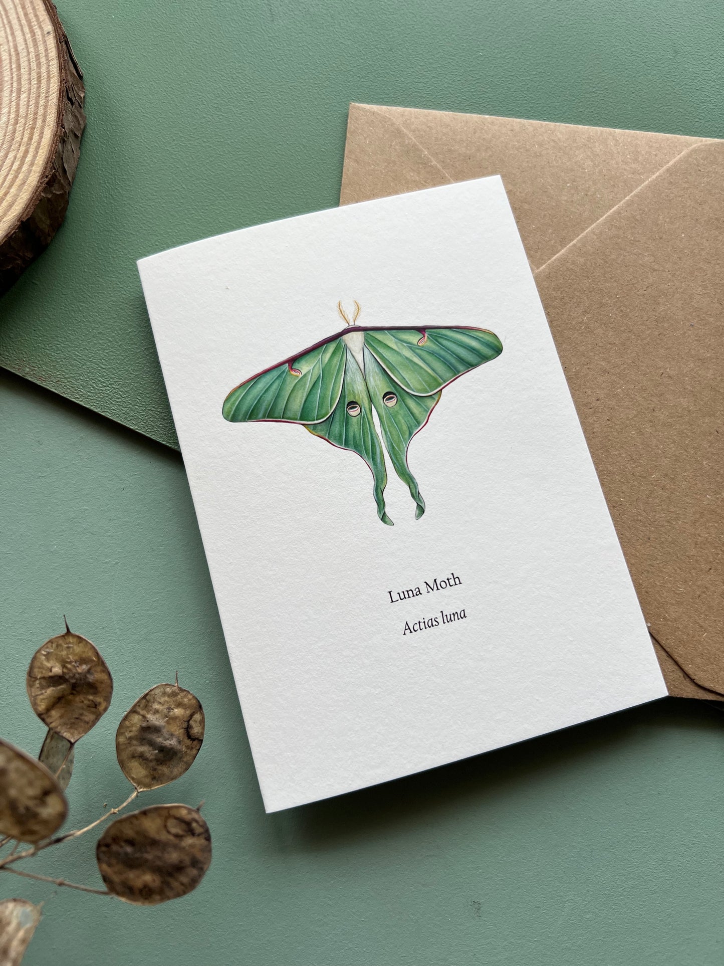 Luna Moth Card