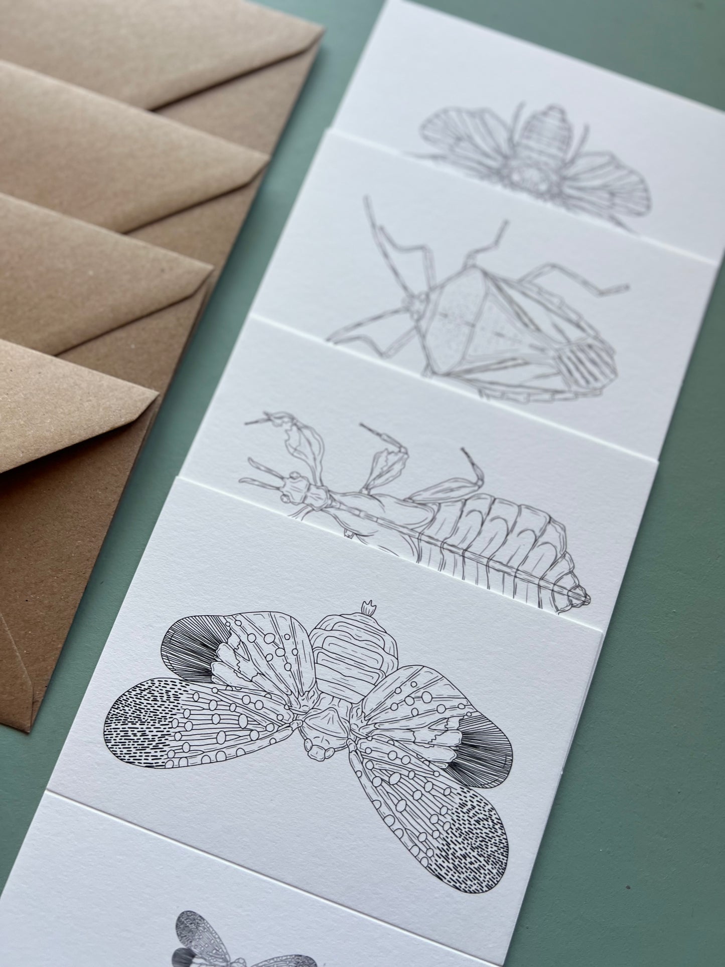 Insects Colouring in Card Set