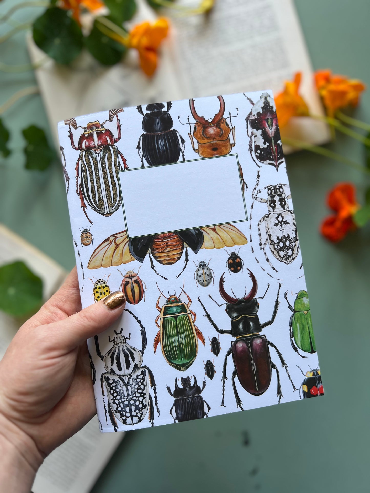 Beetle Notebook