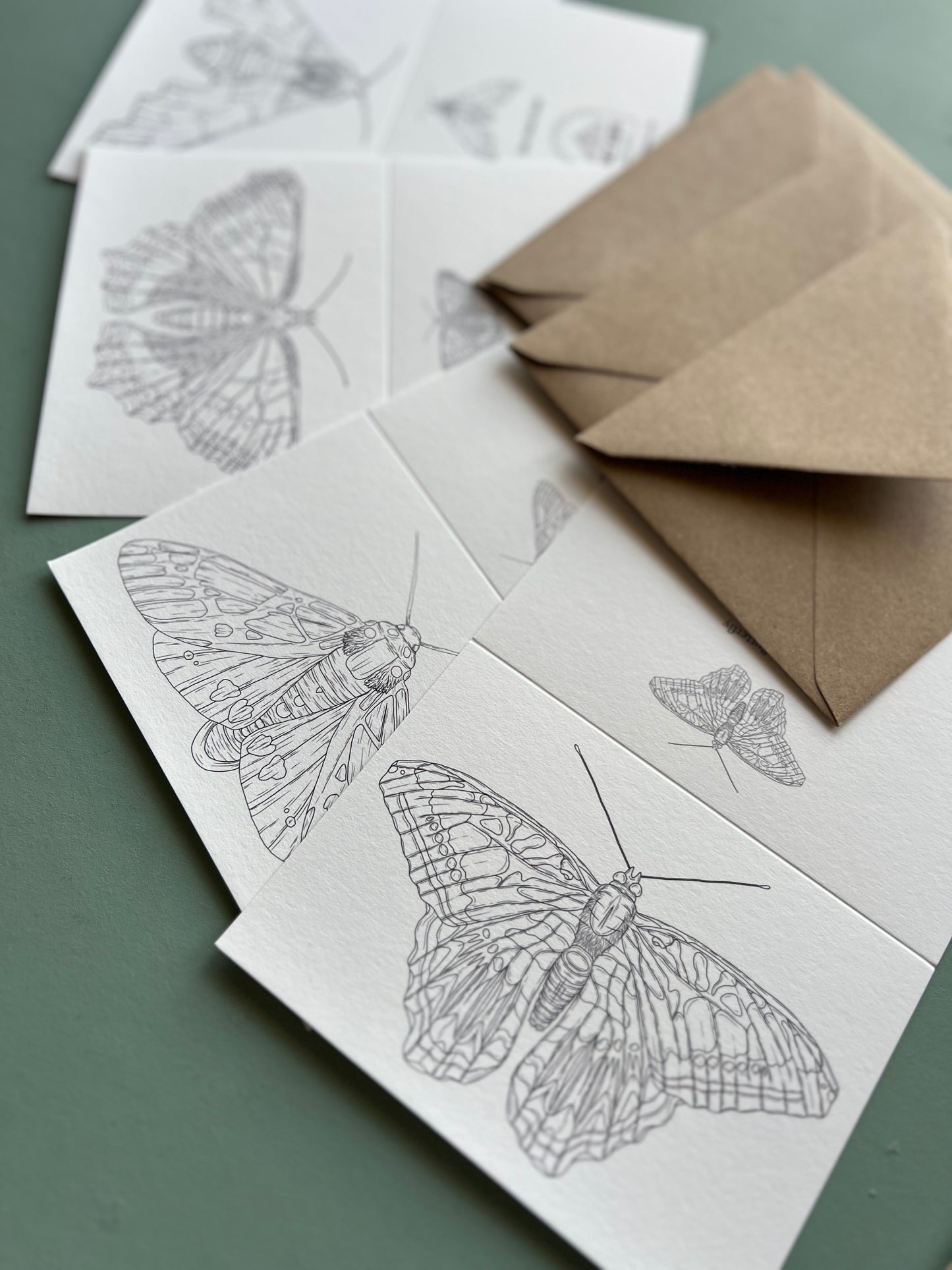 Butterfly and Moth Colouring in Card Set