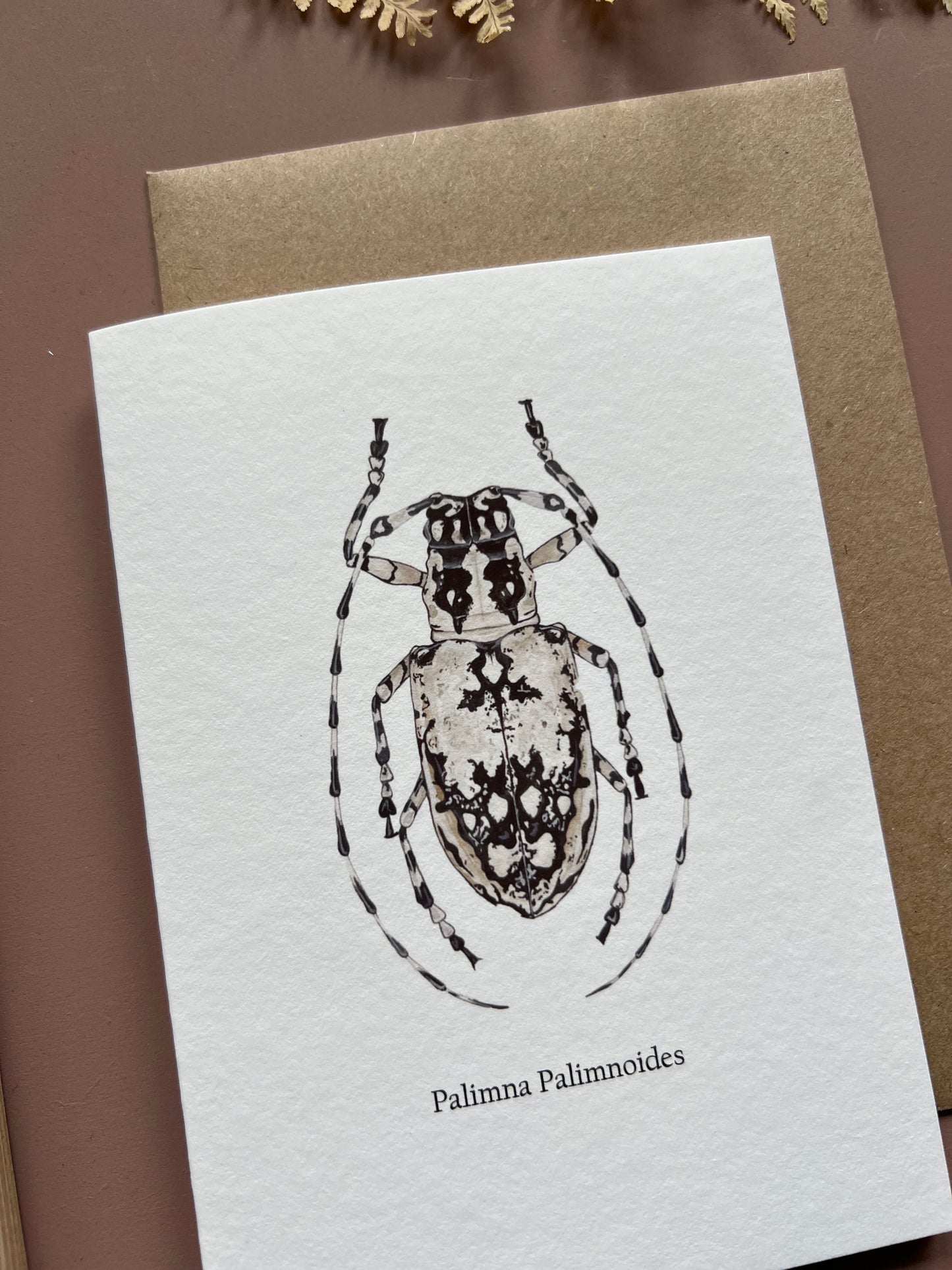 Longhorn Beetle card