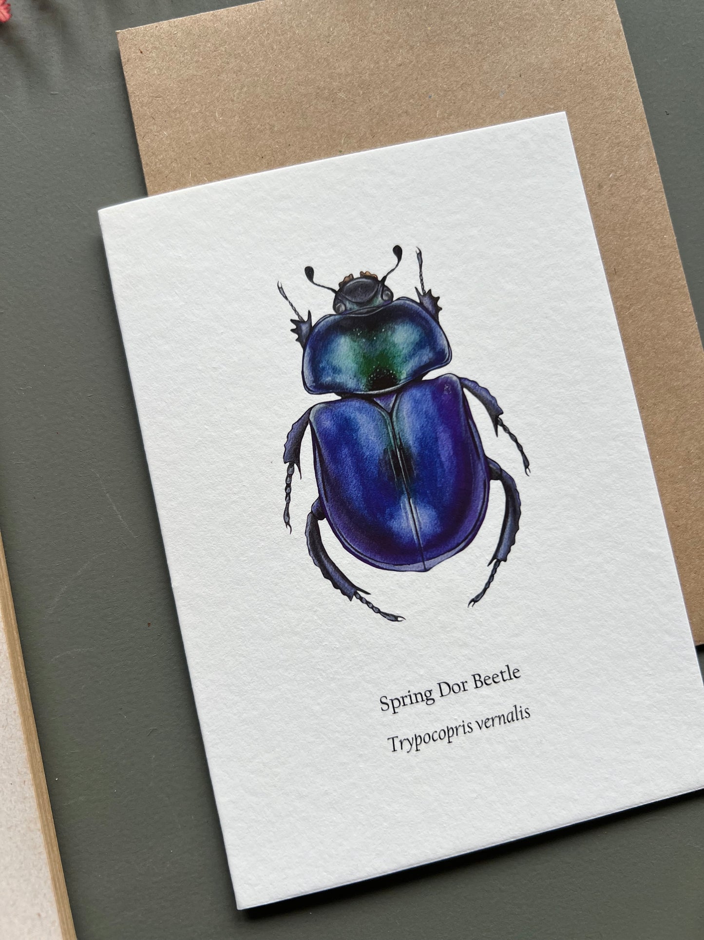 Spring Dor Beetle Card