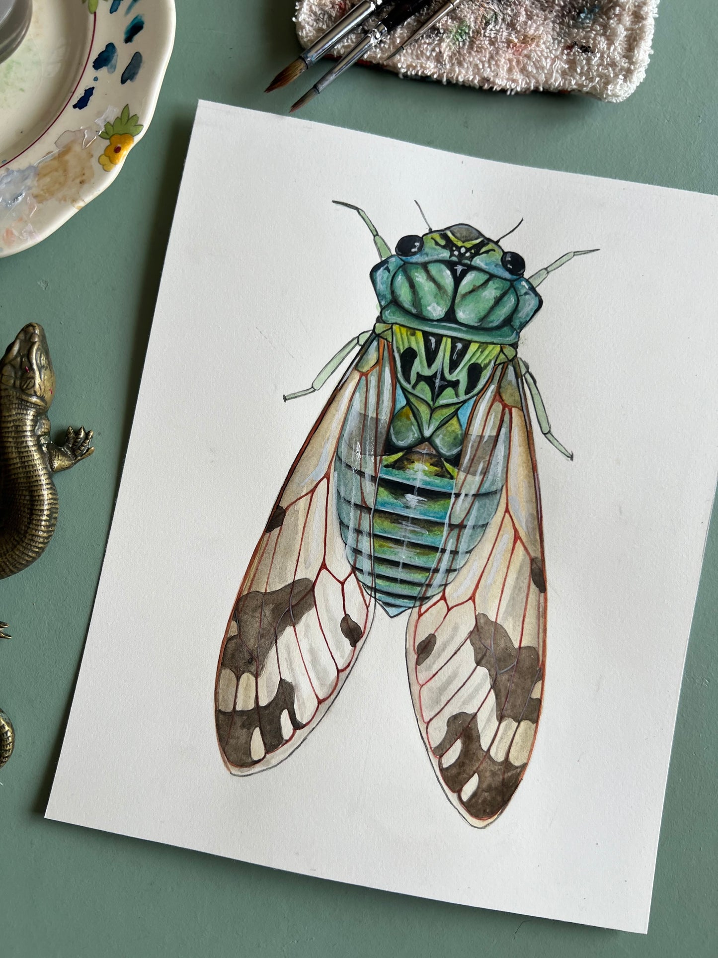Cicada Original 8”x10”