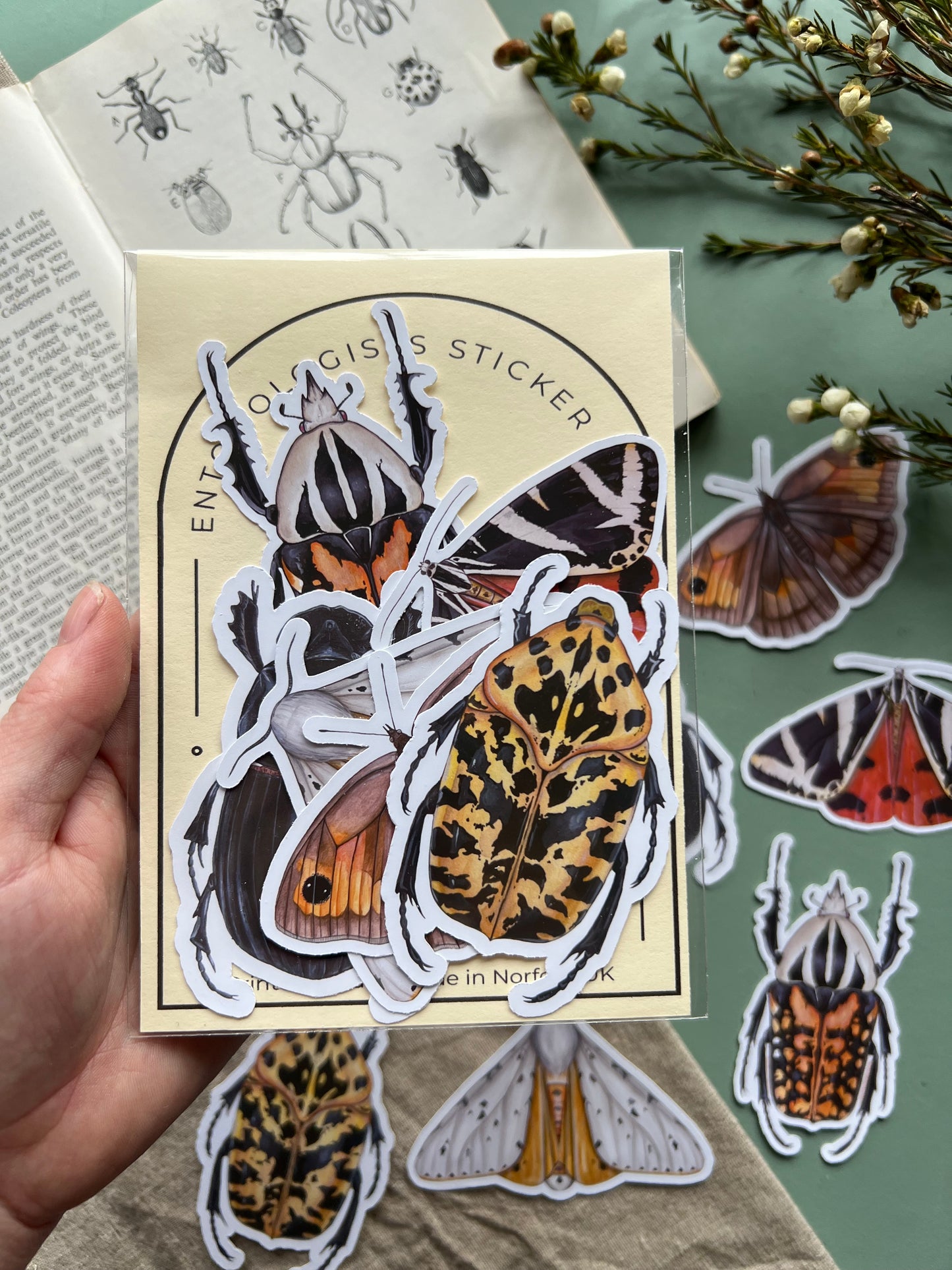 Entomology Sticker Set