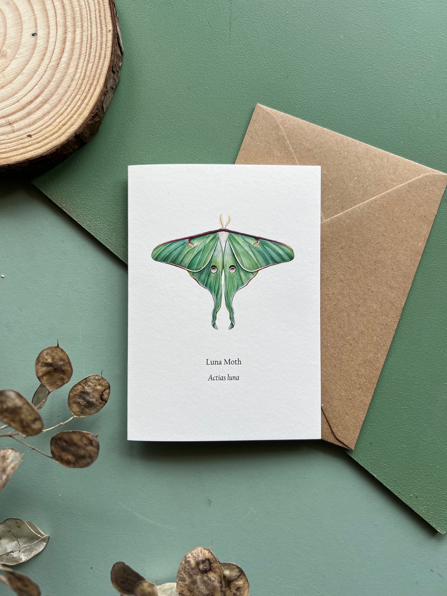 Luna Moth Card