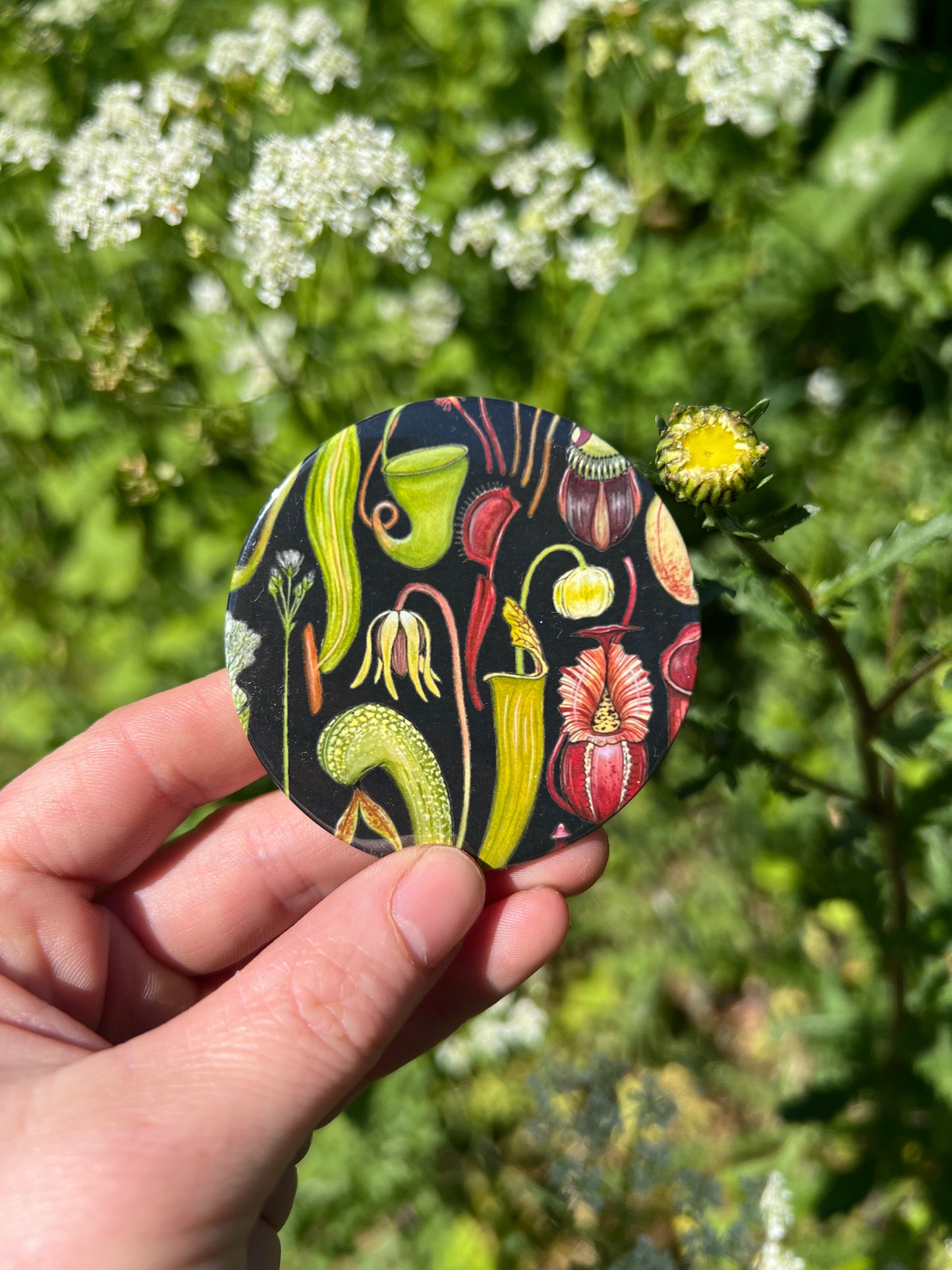 Carnivorous Plants Pocket Mirror