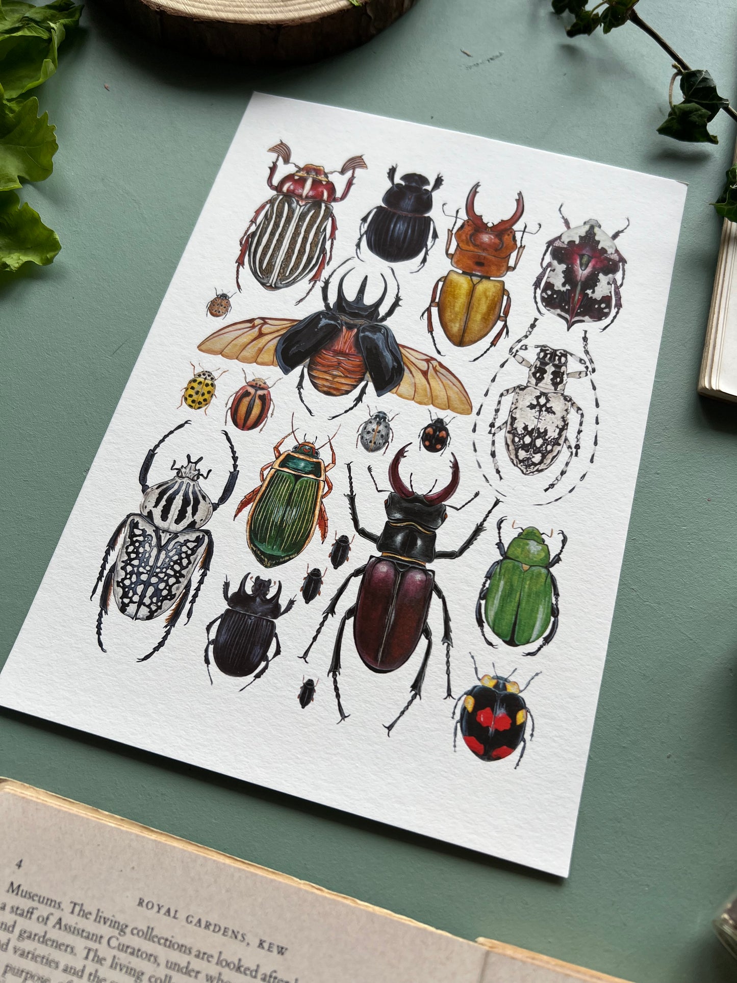 Beetles Print