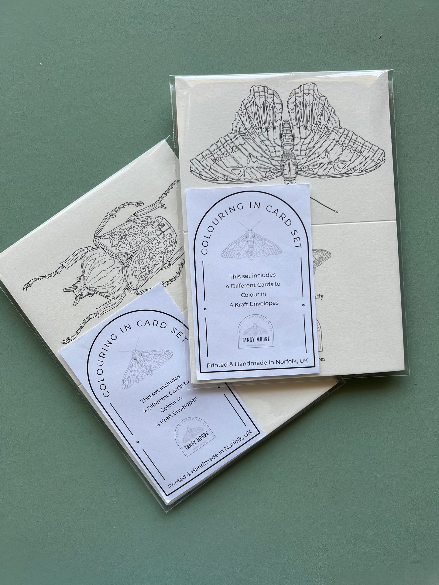 Beetle Colouring in Card Set