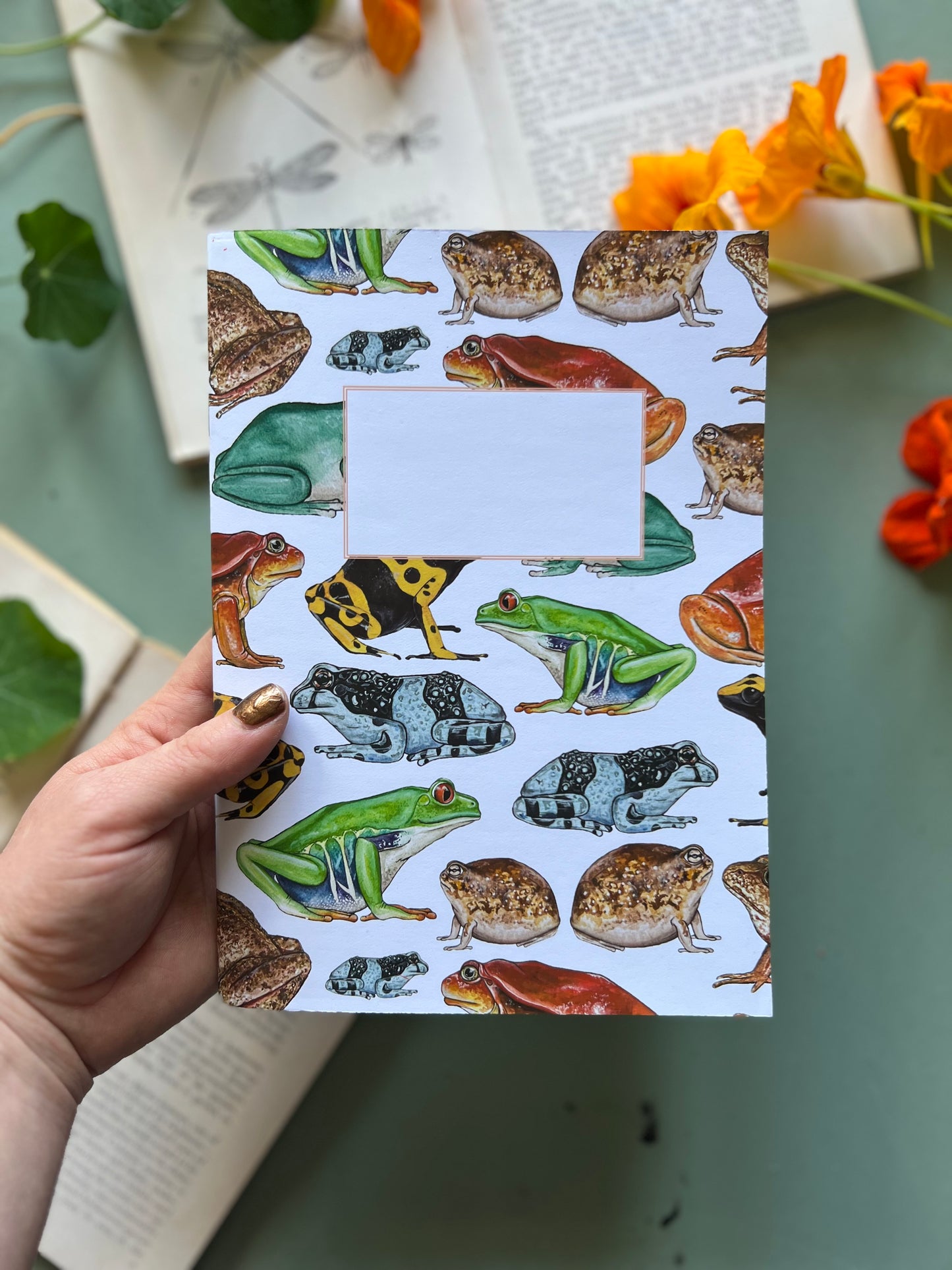 Frog Notebook