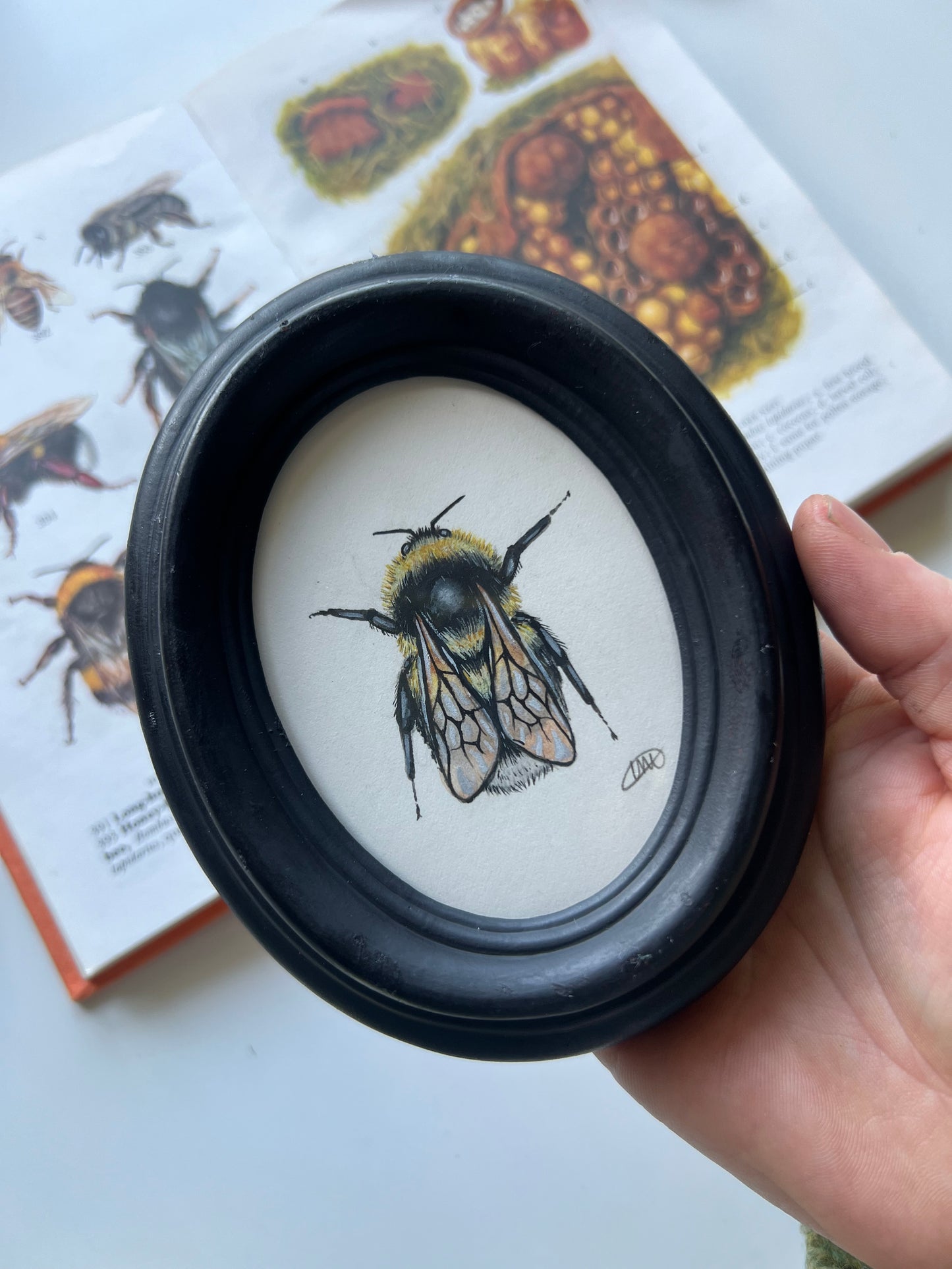 Garden Bumblebee