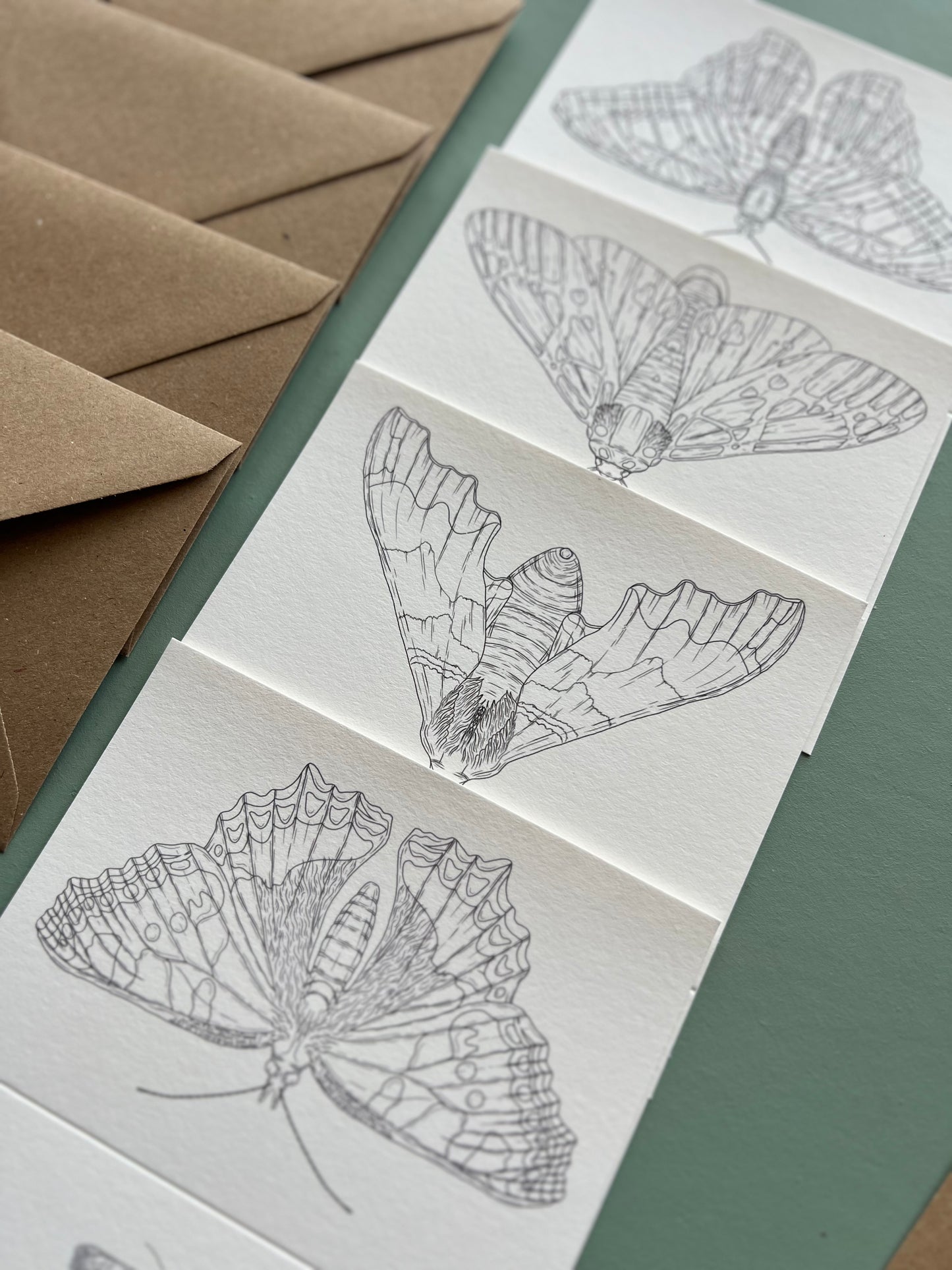 Butterfly and Moth Colouring in Card Set