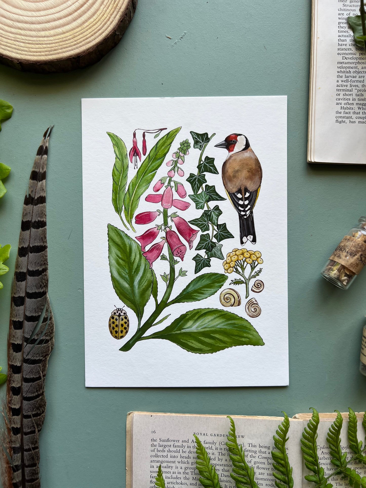 Wild Cottage Garden Print