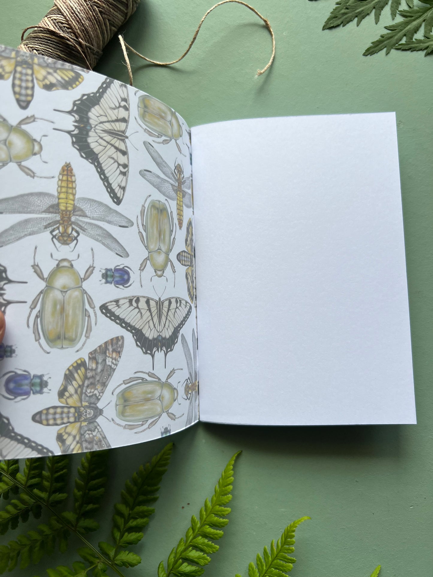 Insects Pocket Notebook