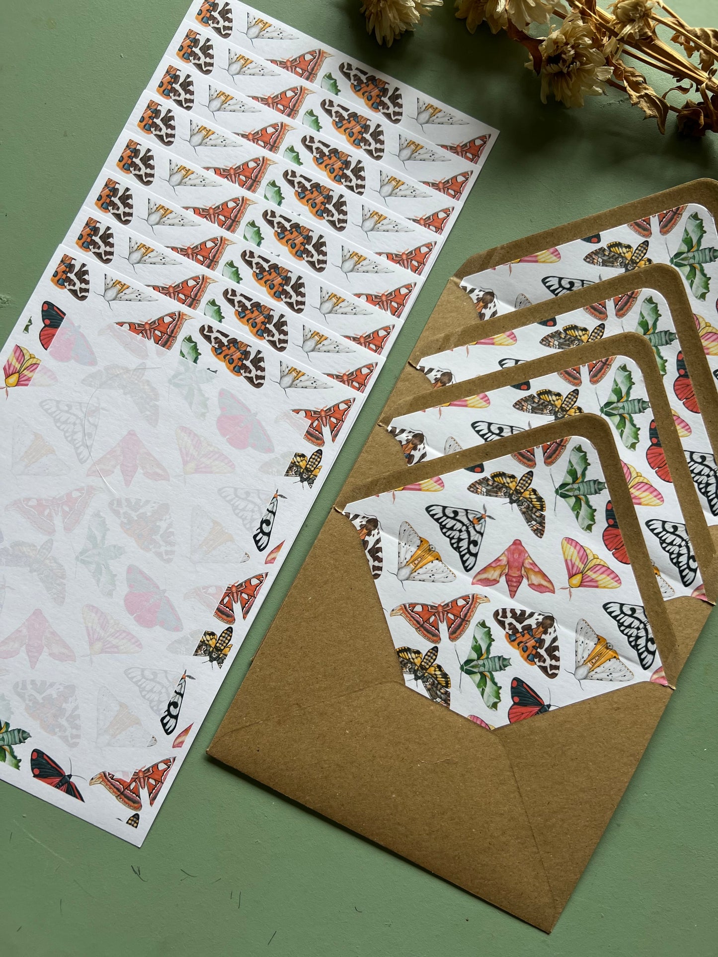 Moths Letter Writing Set