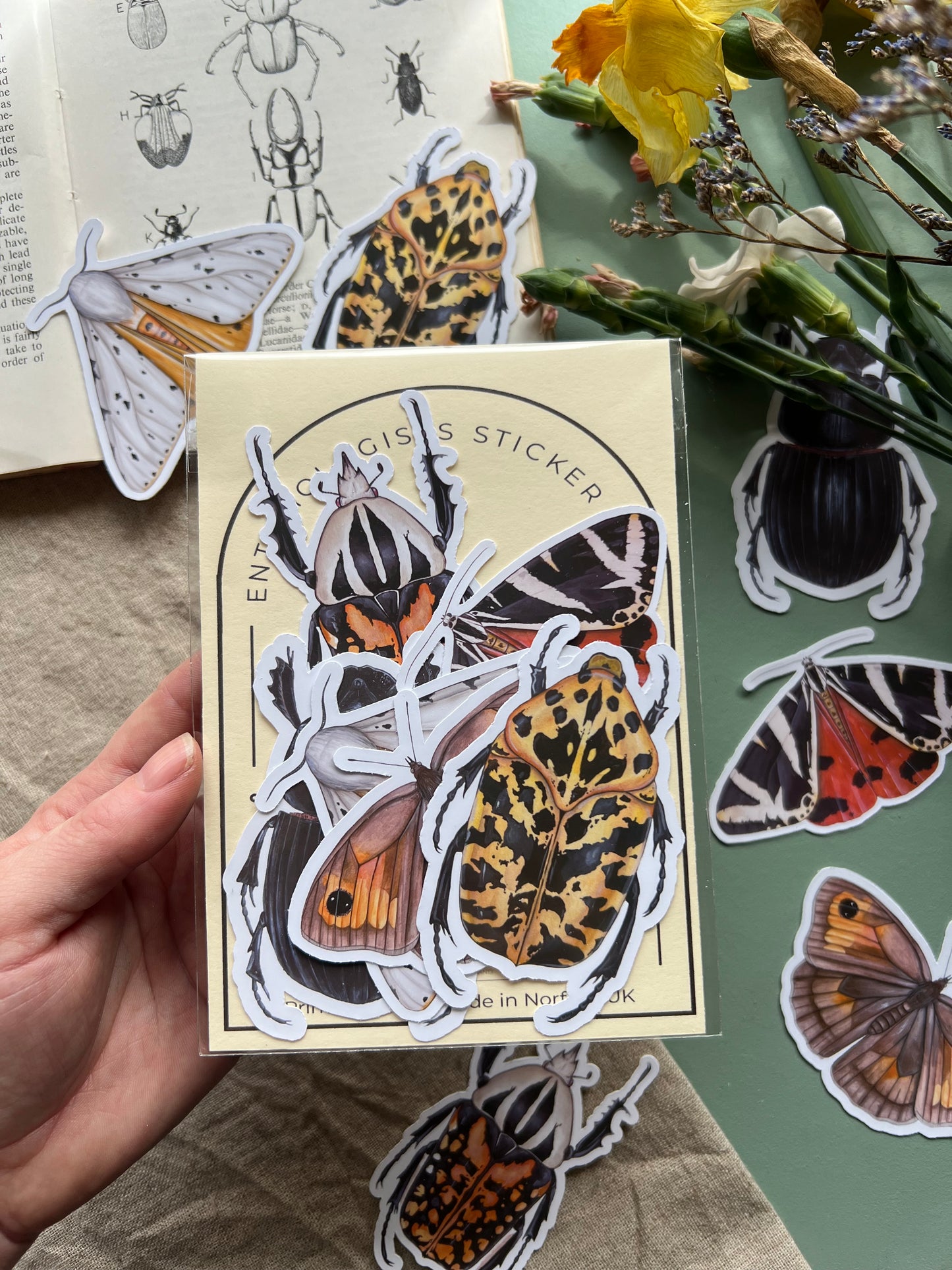 Insect Sticker Sets