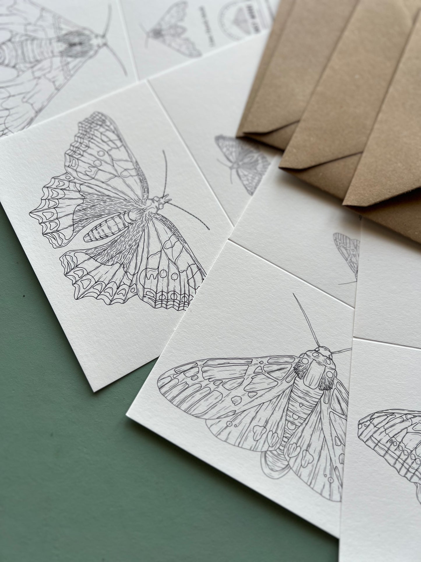 Butterfly and Moth Colouring in Card Set