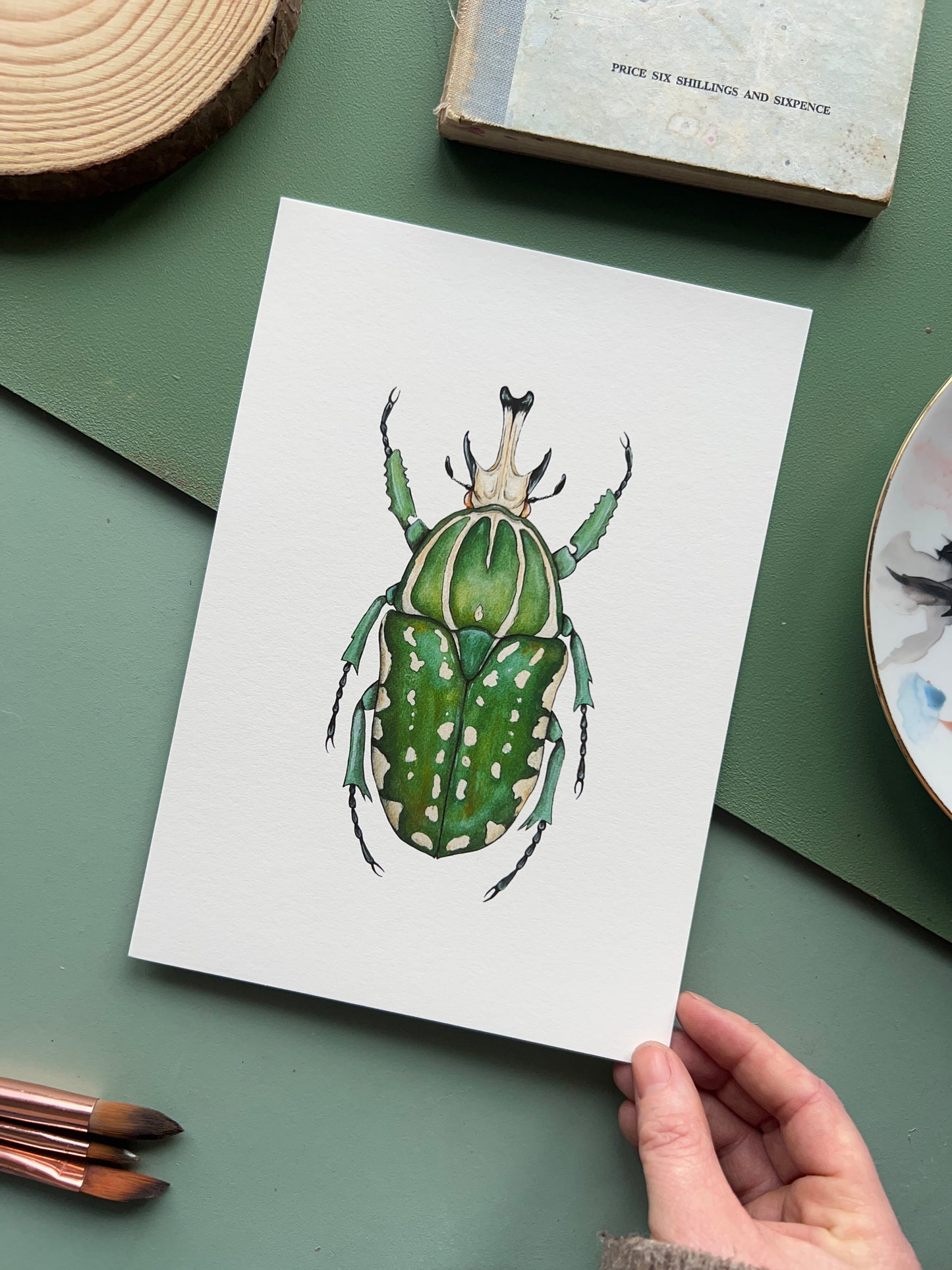 African Fruit Beetle