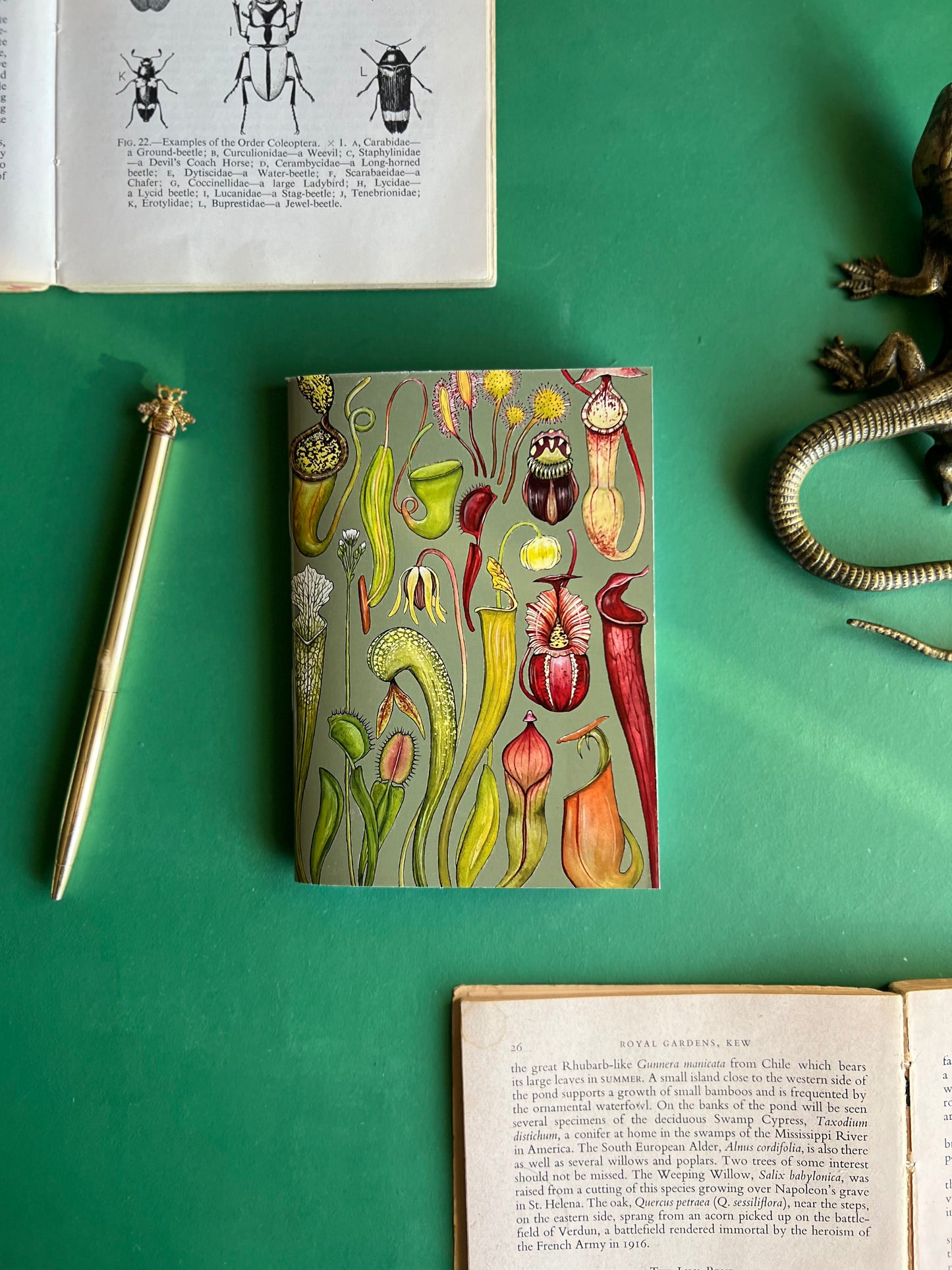 Carnivorous Plants Pocket Notebook