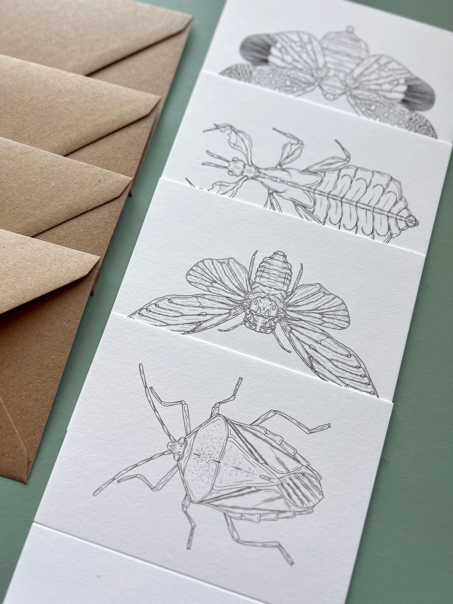 Insects Colouring in Card Set