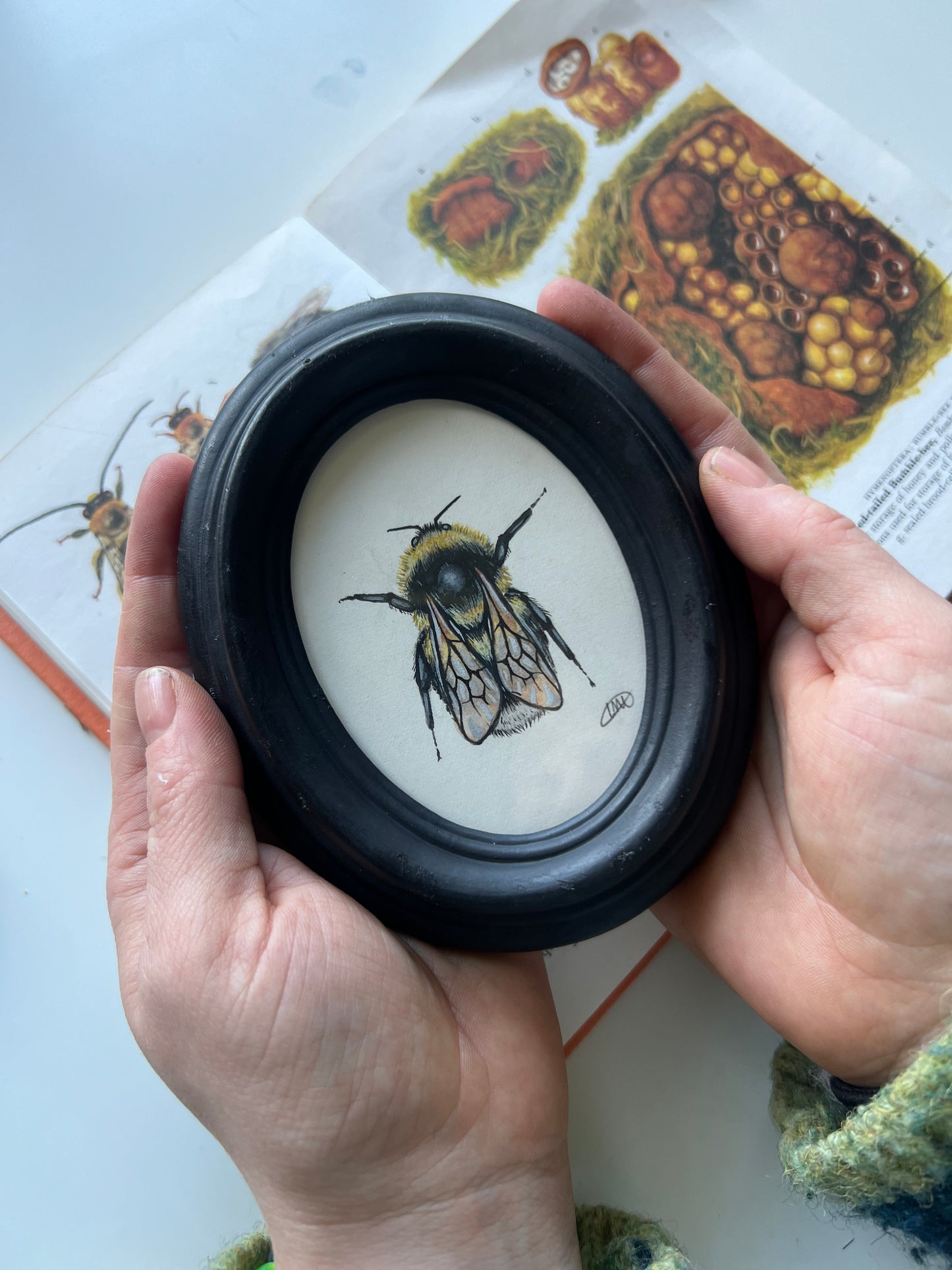 Garden Bumblebee