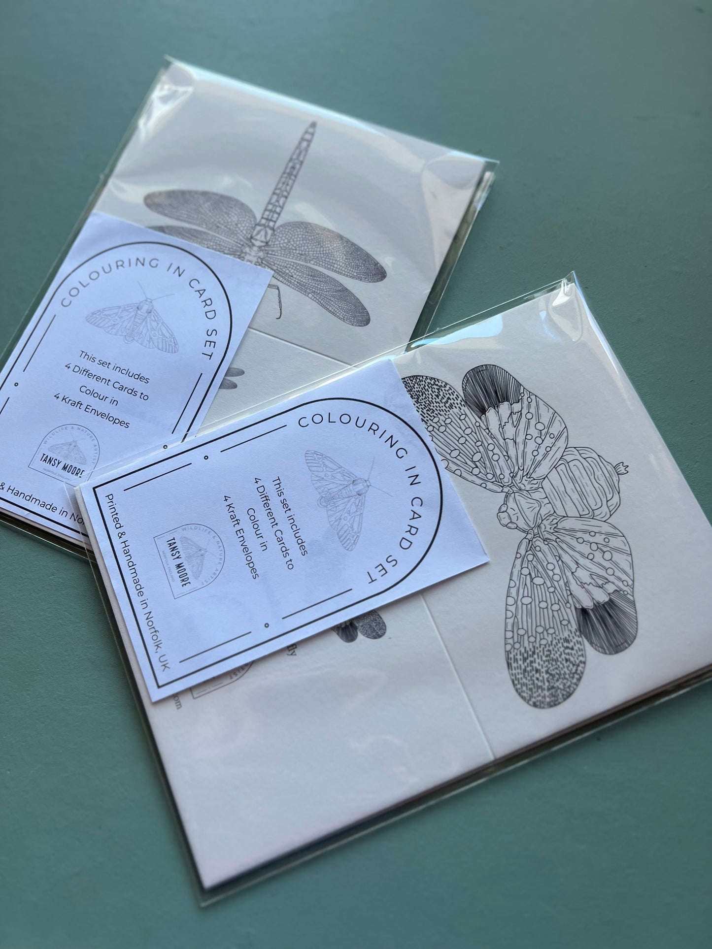 British Insects Colouring in Card Set