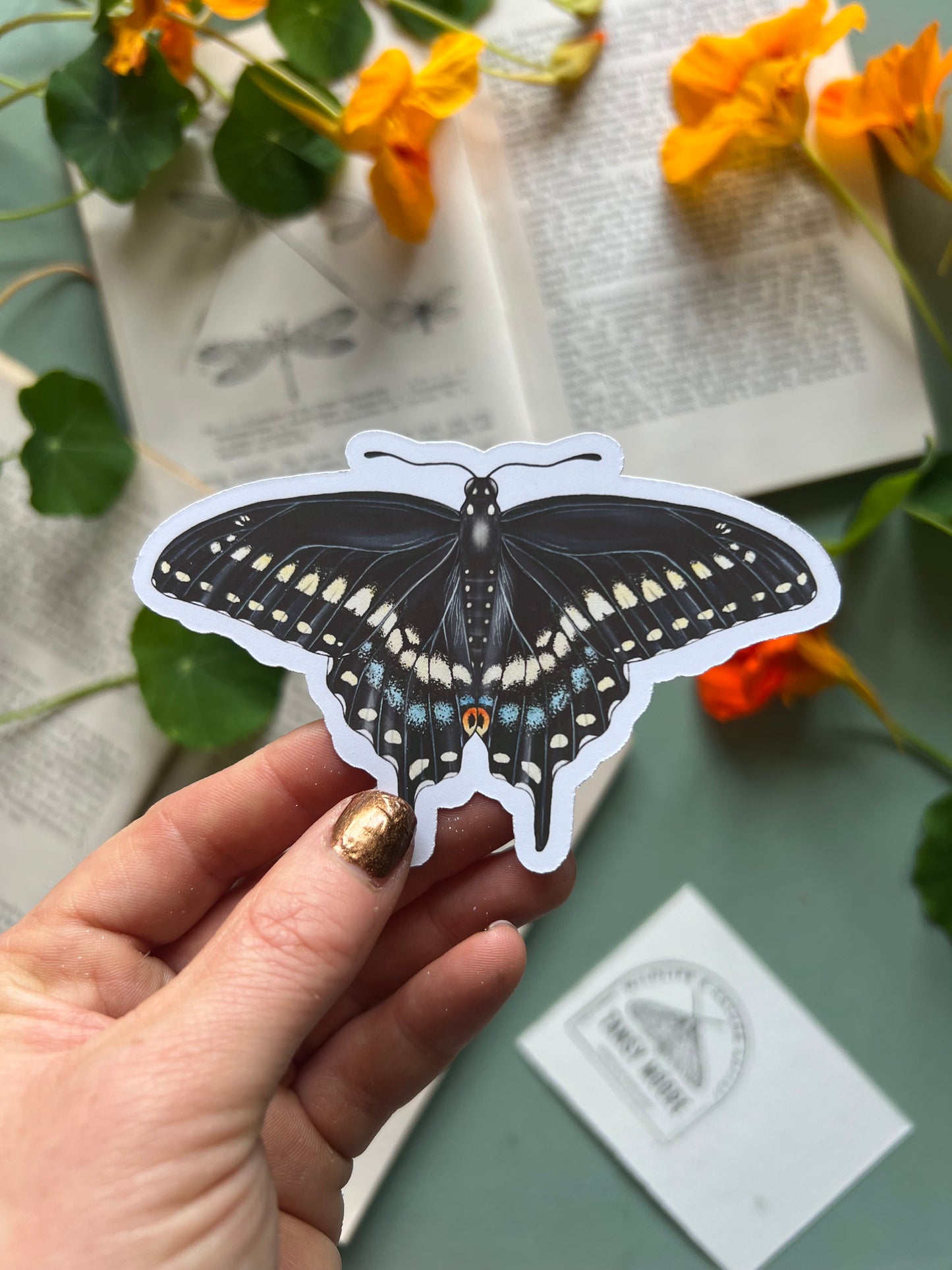 Black Swallowtail Sticker
