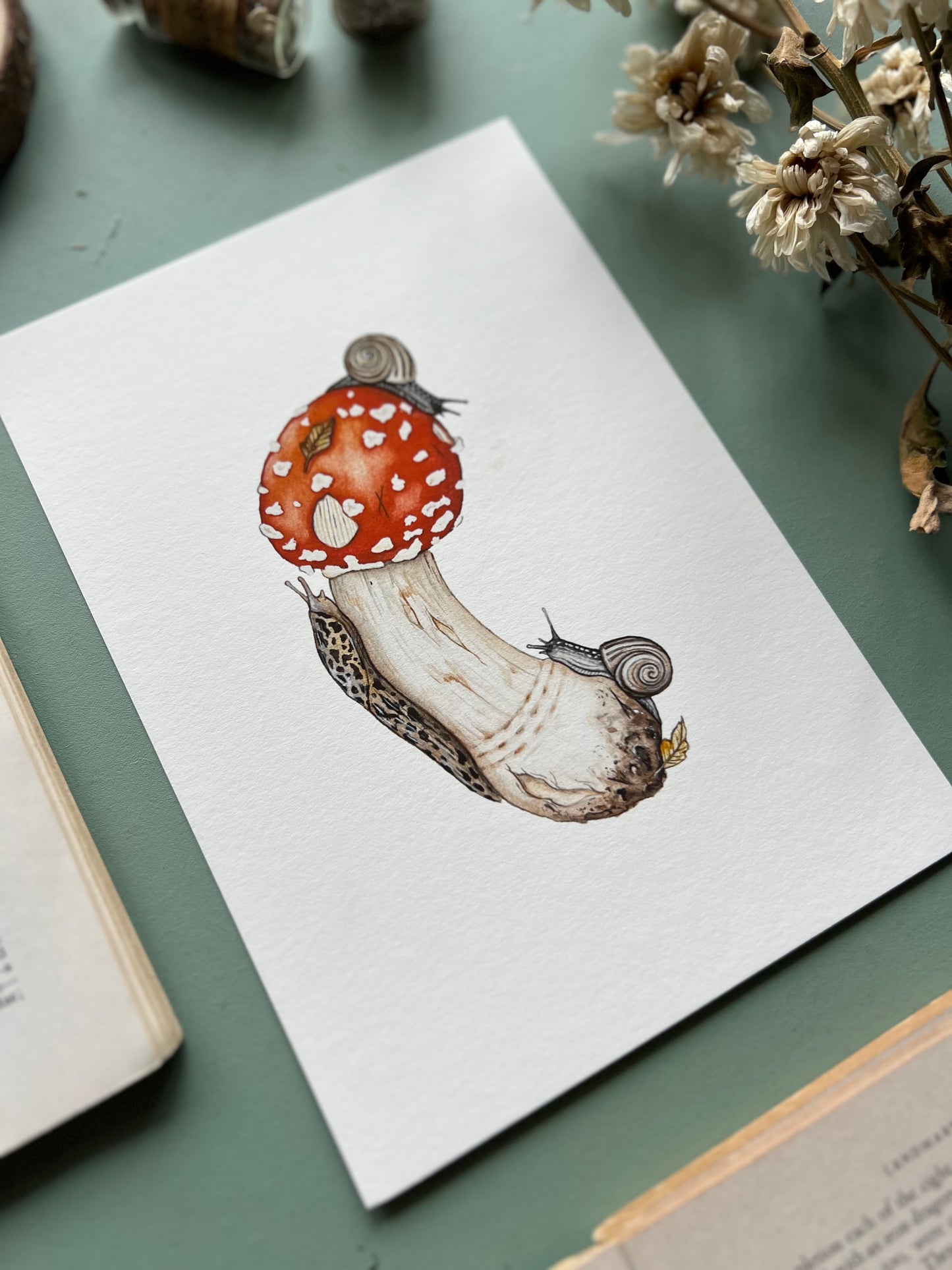 Amanita muscaria, Leopard Slug and White-lipped Grove Snails Print