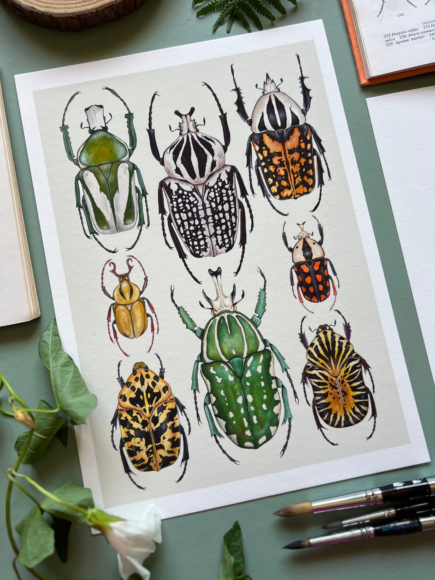 Beetles Print