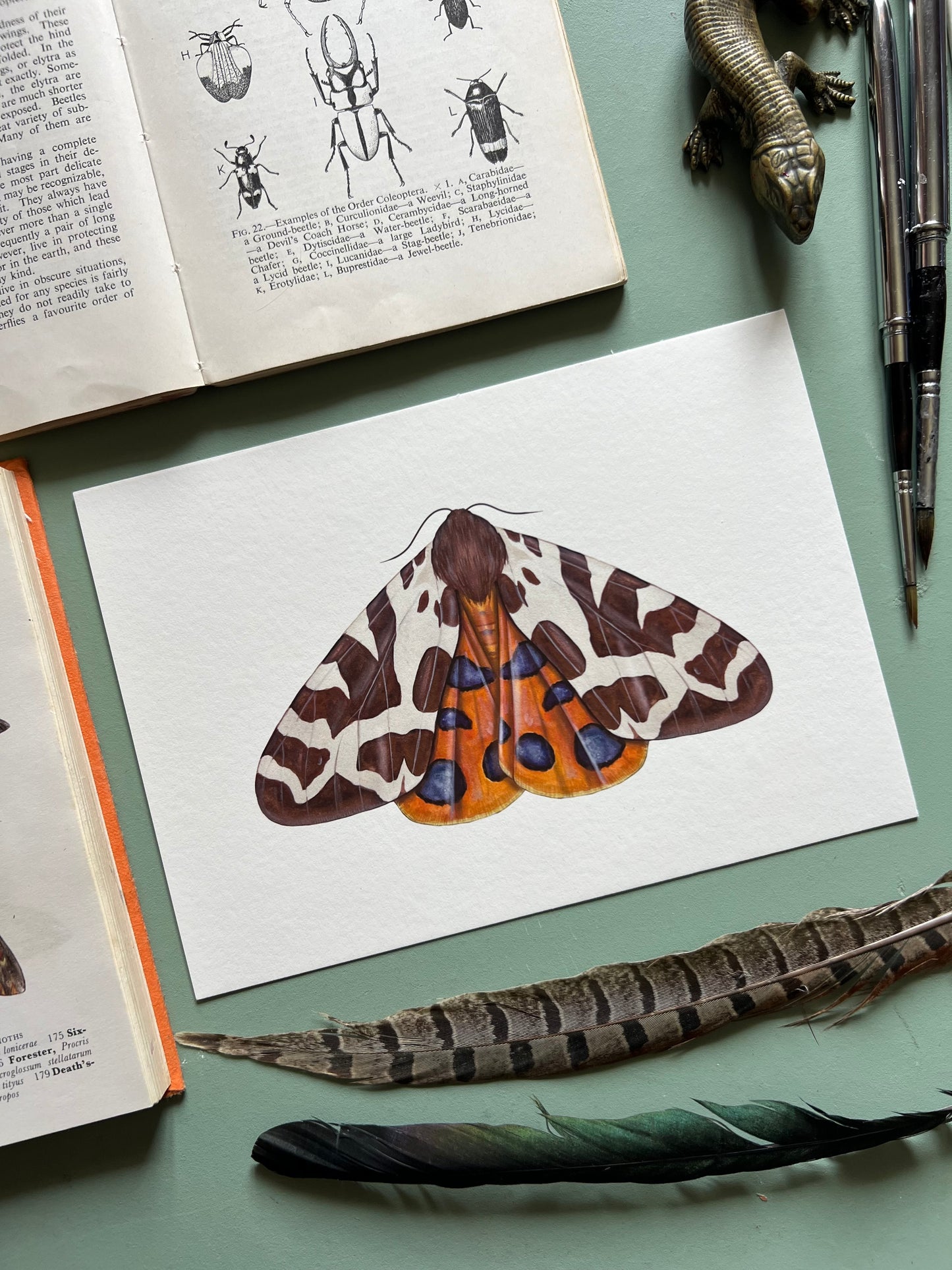 Garden Tiger Moth Print