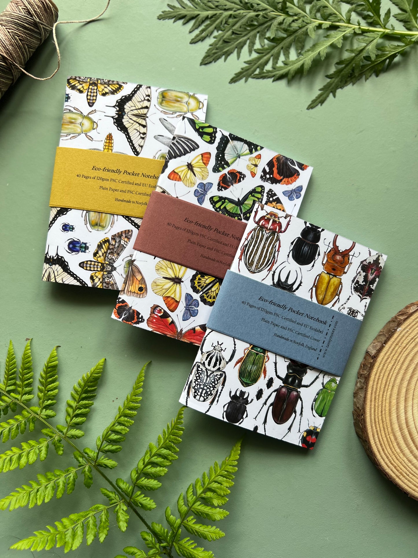 Insect Pocket Notebook Set