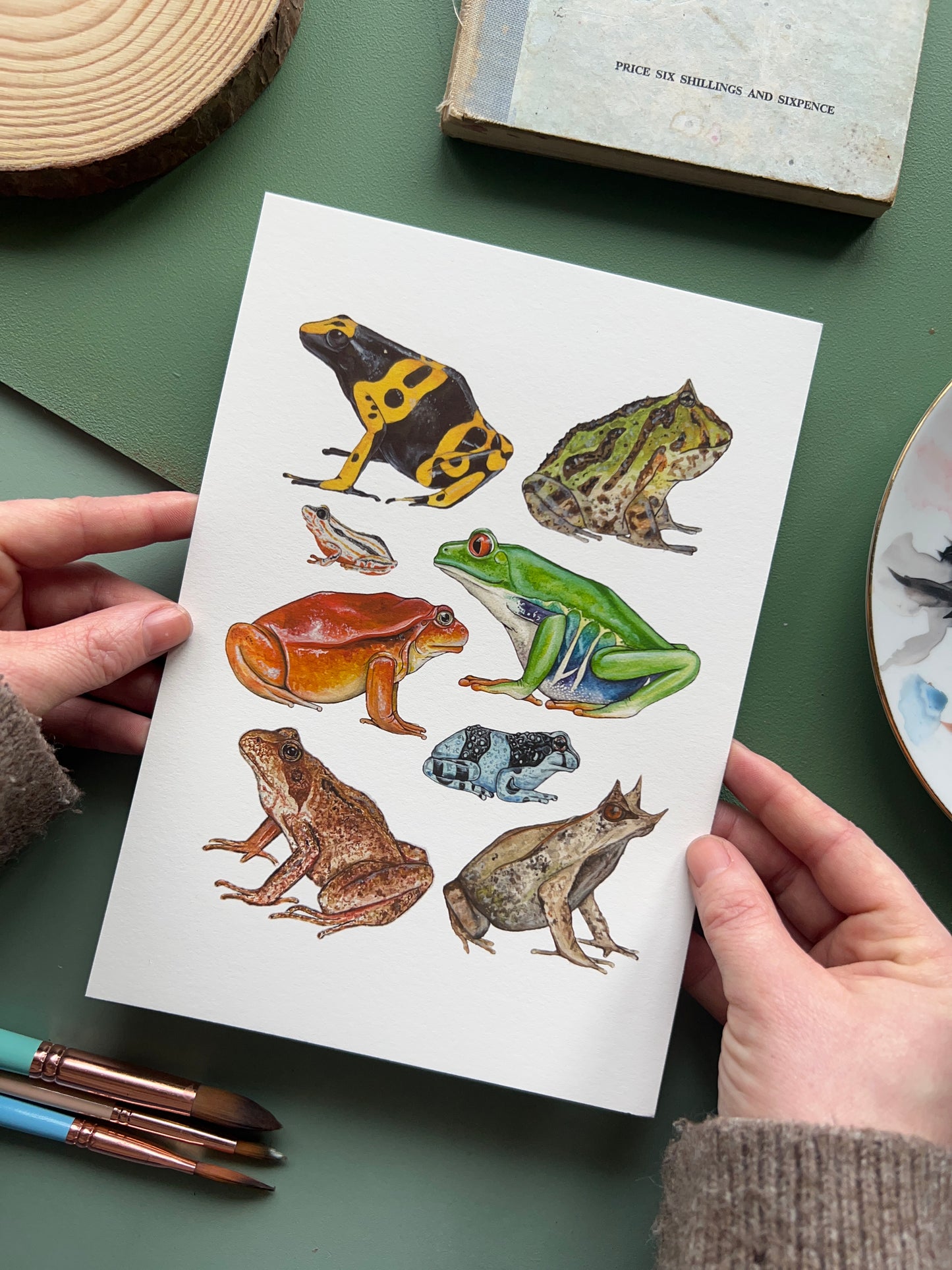 Frogs