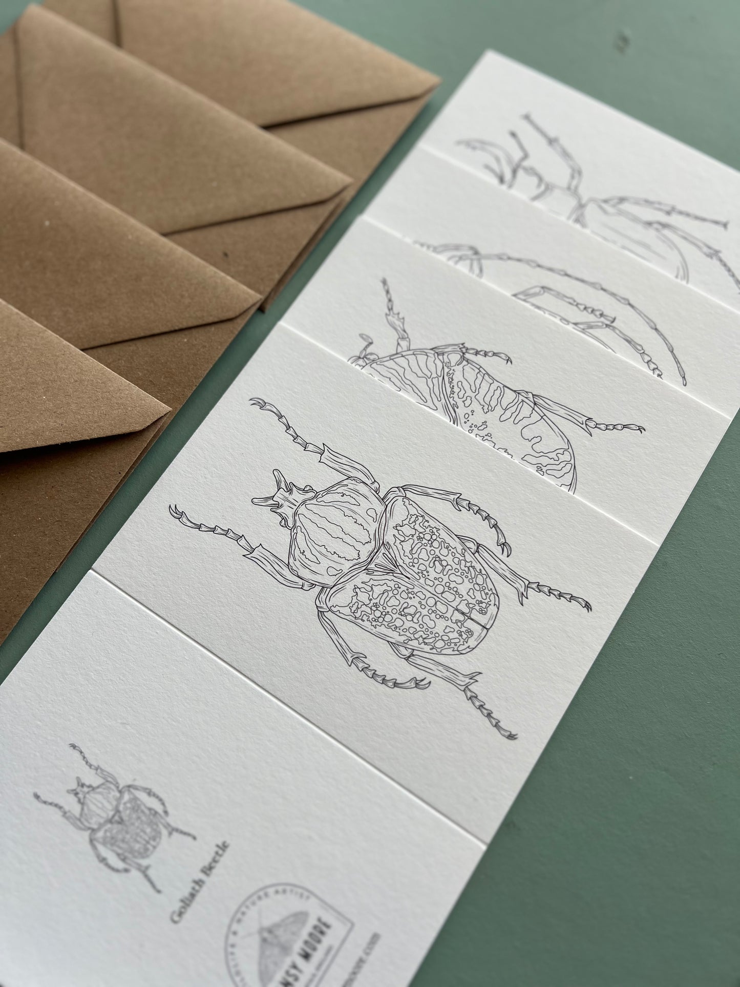 Beetle Colouring in Card Set