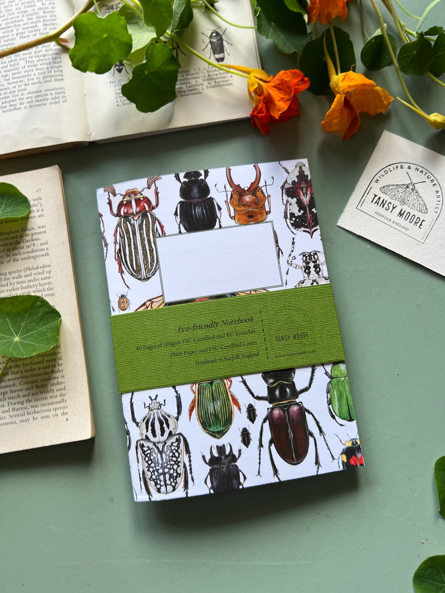 Beetle Notebook