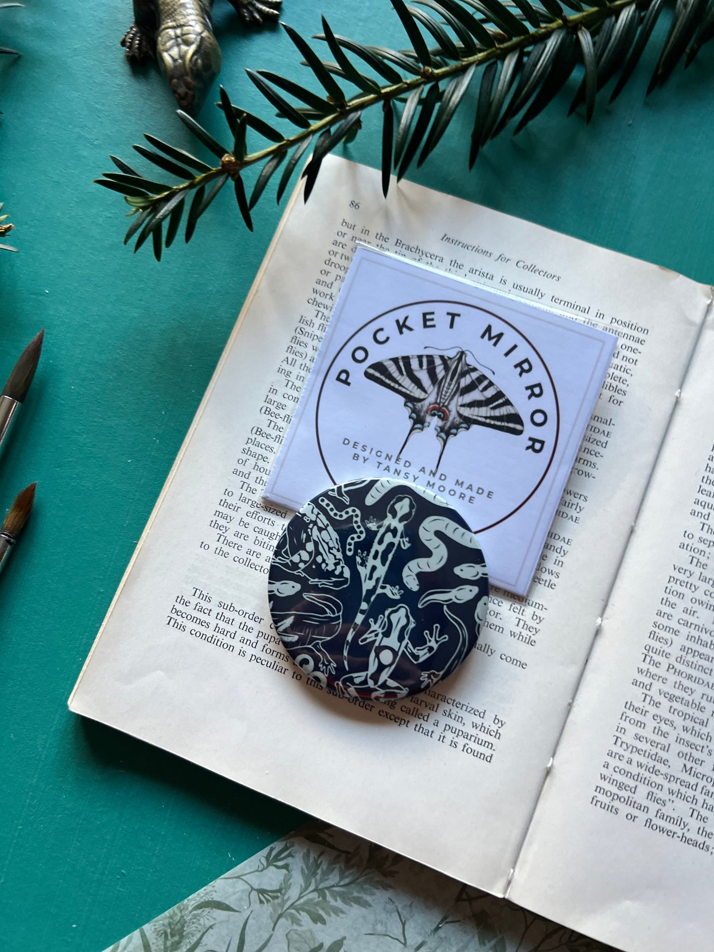 Amphibians Pocket Mirror