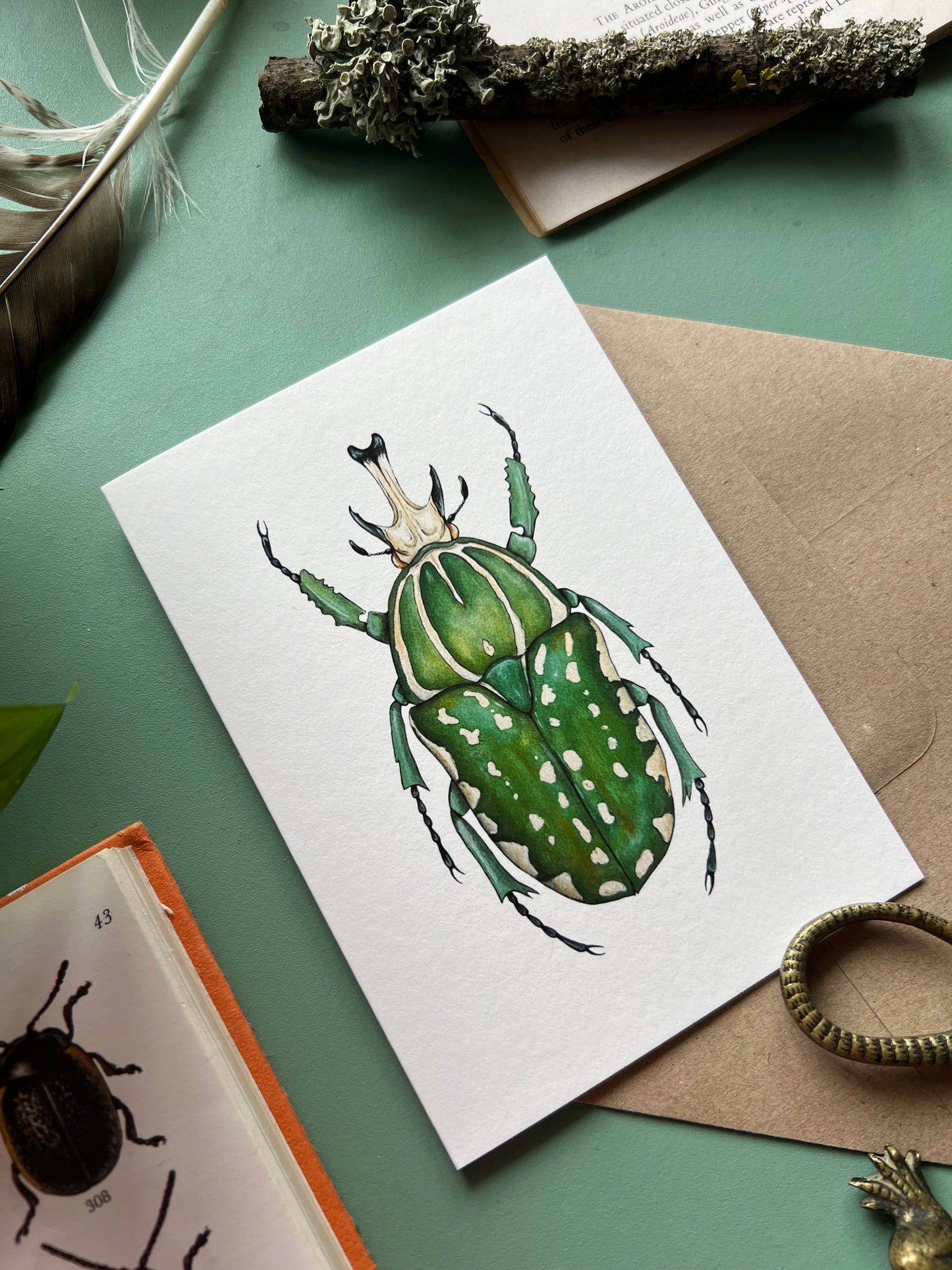 African Fruit Beetle Card