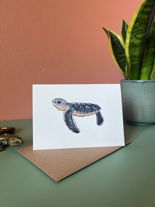 Baby Sea Turtle Card
