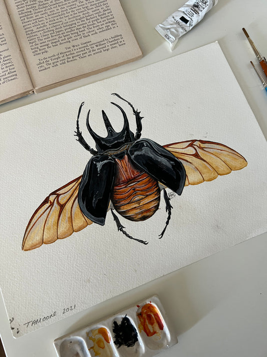 Atlas Beetle, Watercolour Original