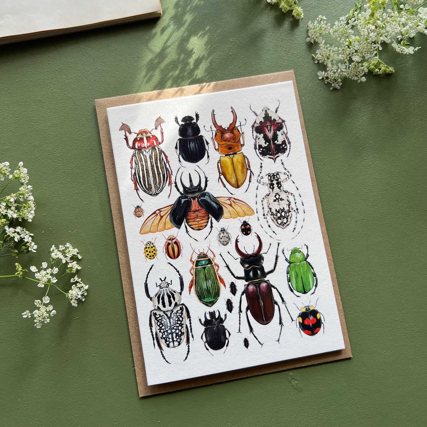 Beetles Card